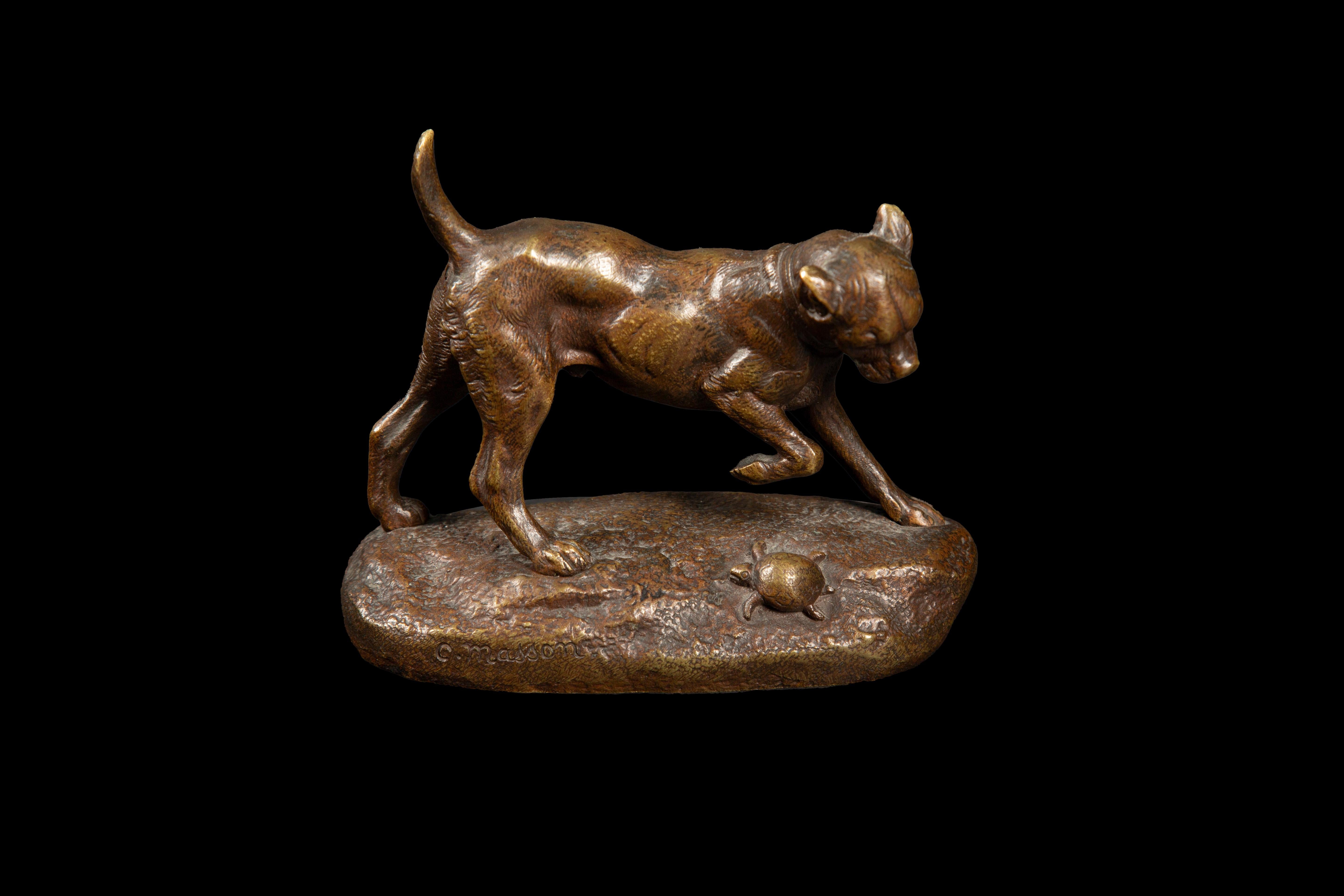 Captivating late 19th-century bronze sculpture crafted by the skilled hands of Clovis Edmond Masson (1838-1917), depicting a charming scene of a dog engaged in playful interaction with a turtle, signed C. Masson. Born and bred in Paris, Masson honed