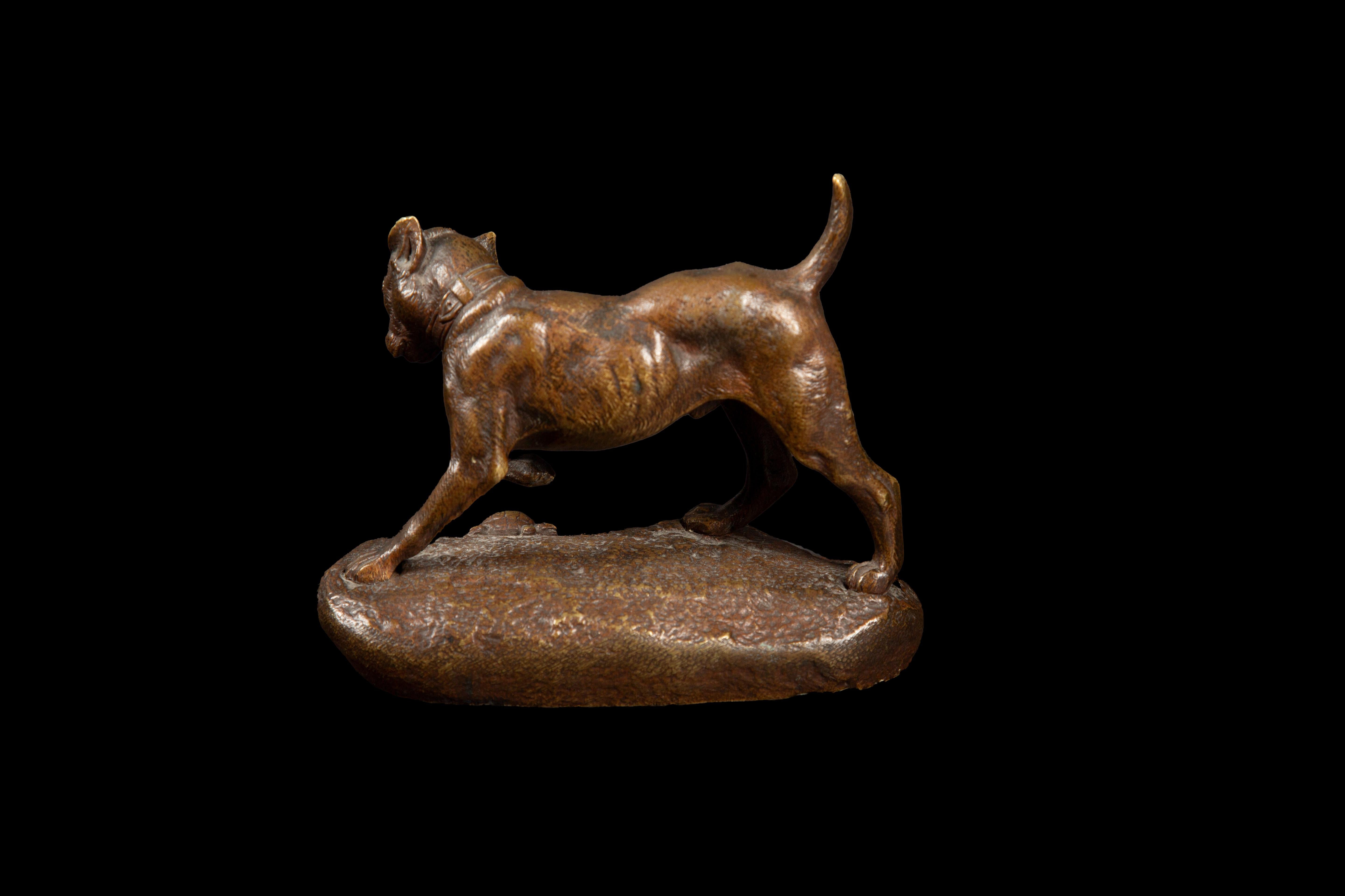Français Sculpture en bronze de la fin du 19e siècle : Jeu du chien et de la tortue par Clovis Edmond Masson en vente