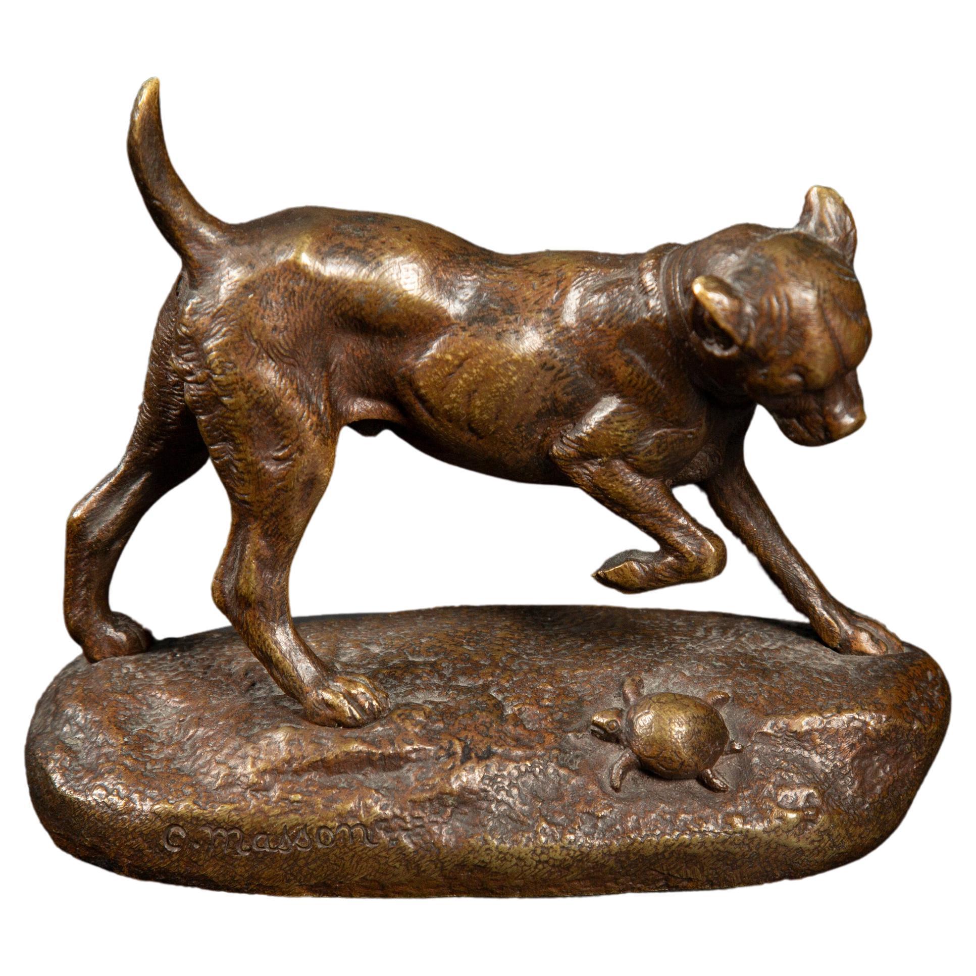 Late 19th Century Bronze Sculpture: Dog and Turtle Play by Clovis Edmond Masson