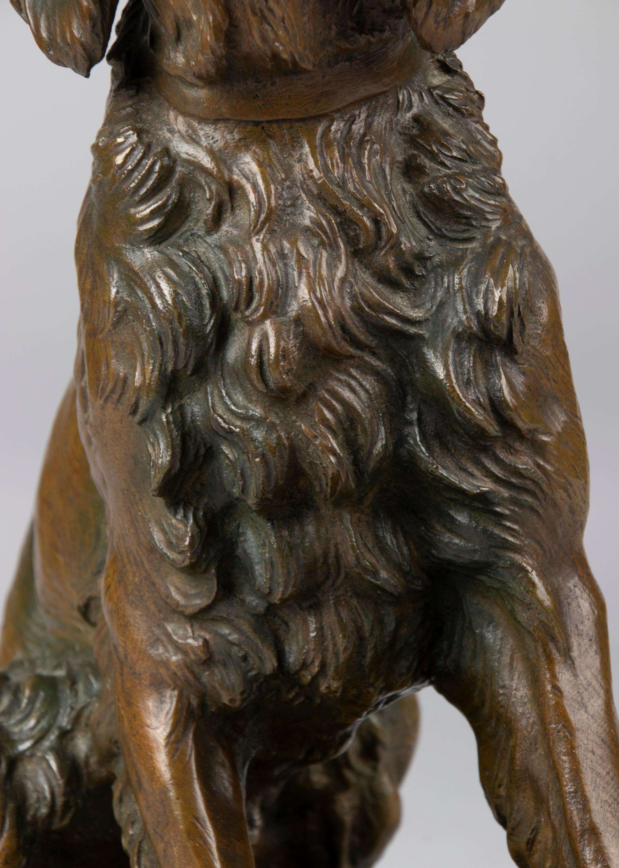 Late 19th Century Bronze Sculpture French Setter Dog, Masson 7