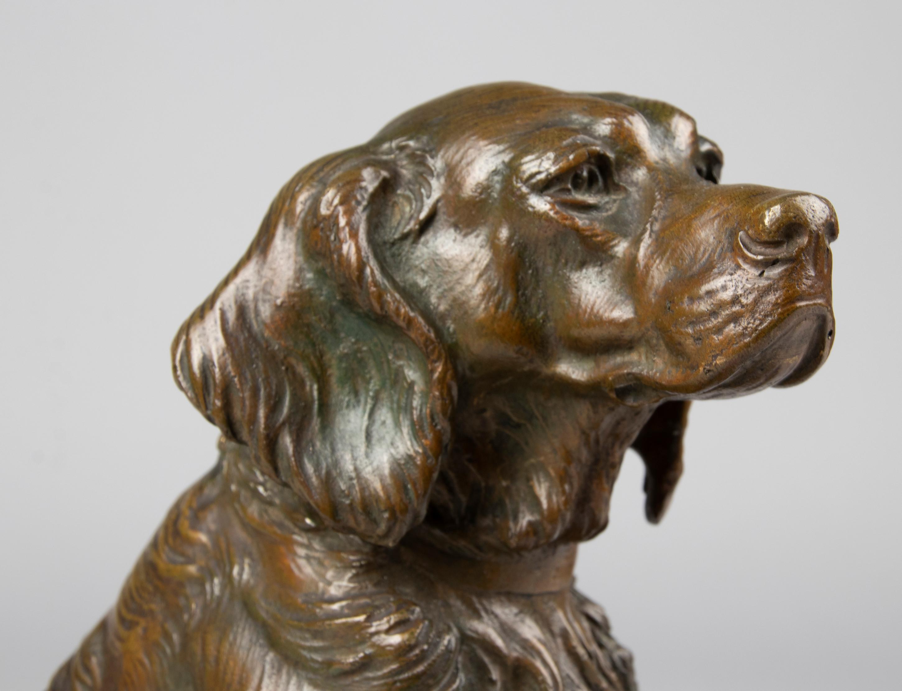 Late 19th Century Bronze Sculpture French Setter Dog, Masson 11
