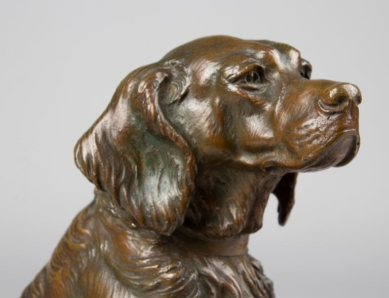 Late 19th Century Bronze Sculpture French Setter Dog, Masson For Sale 11