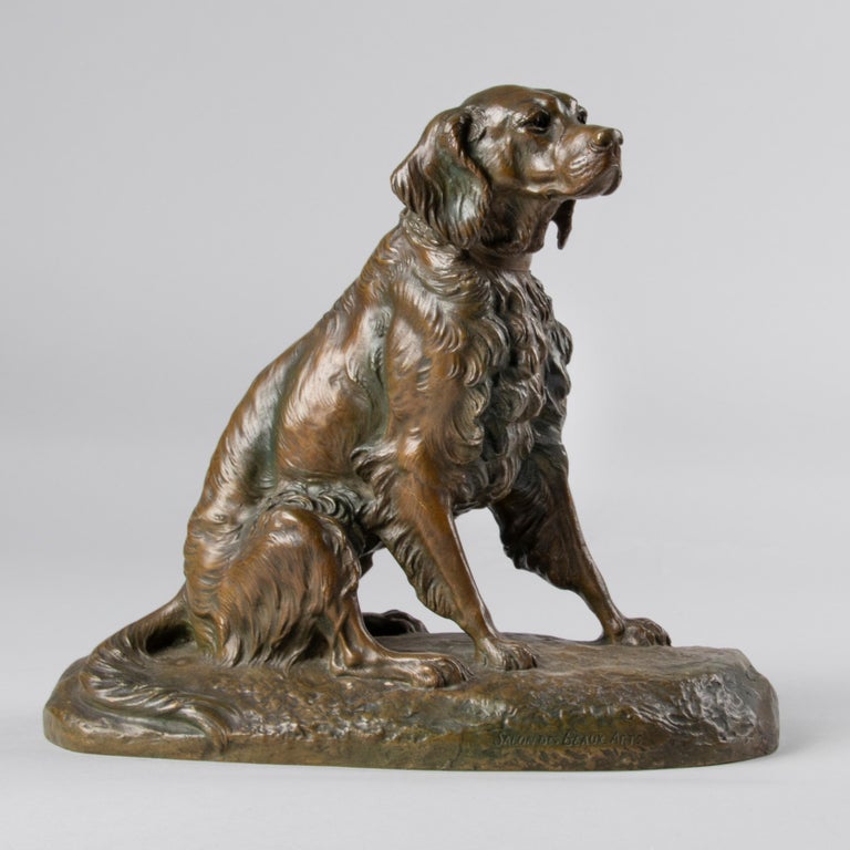 A fine bronze casted sculpture of a French Setter. The bronze has the original olive-brown patina. It is made in France, circa 1890-1900. On the front at the base it is 