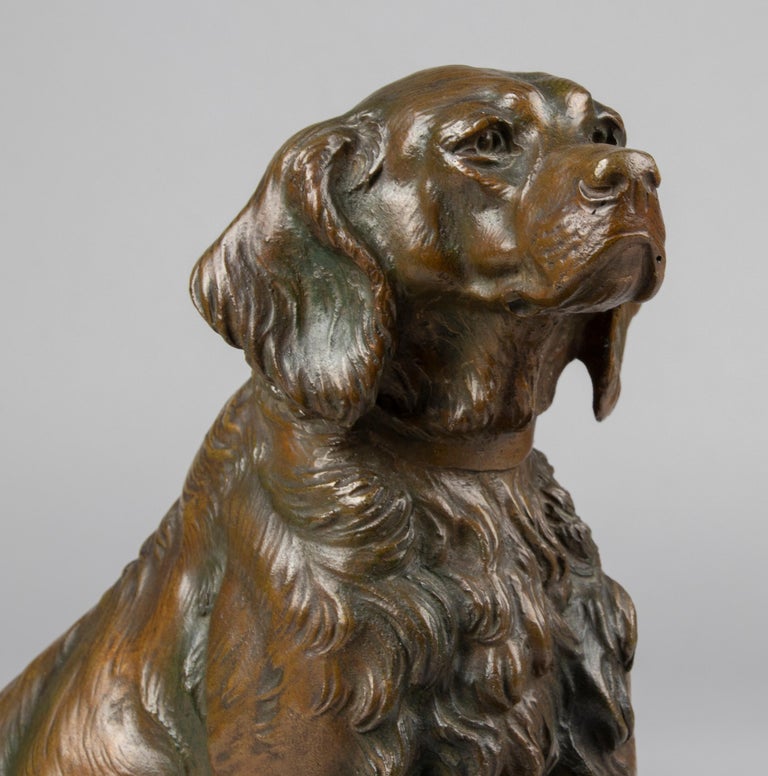 Belle Époque Late 19th Century Bronze Sculpture French Setter Dog, Masson For Sale