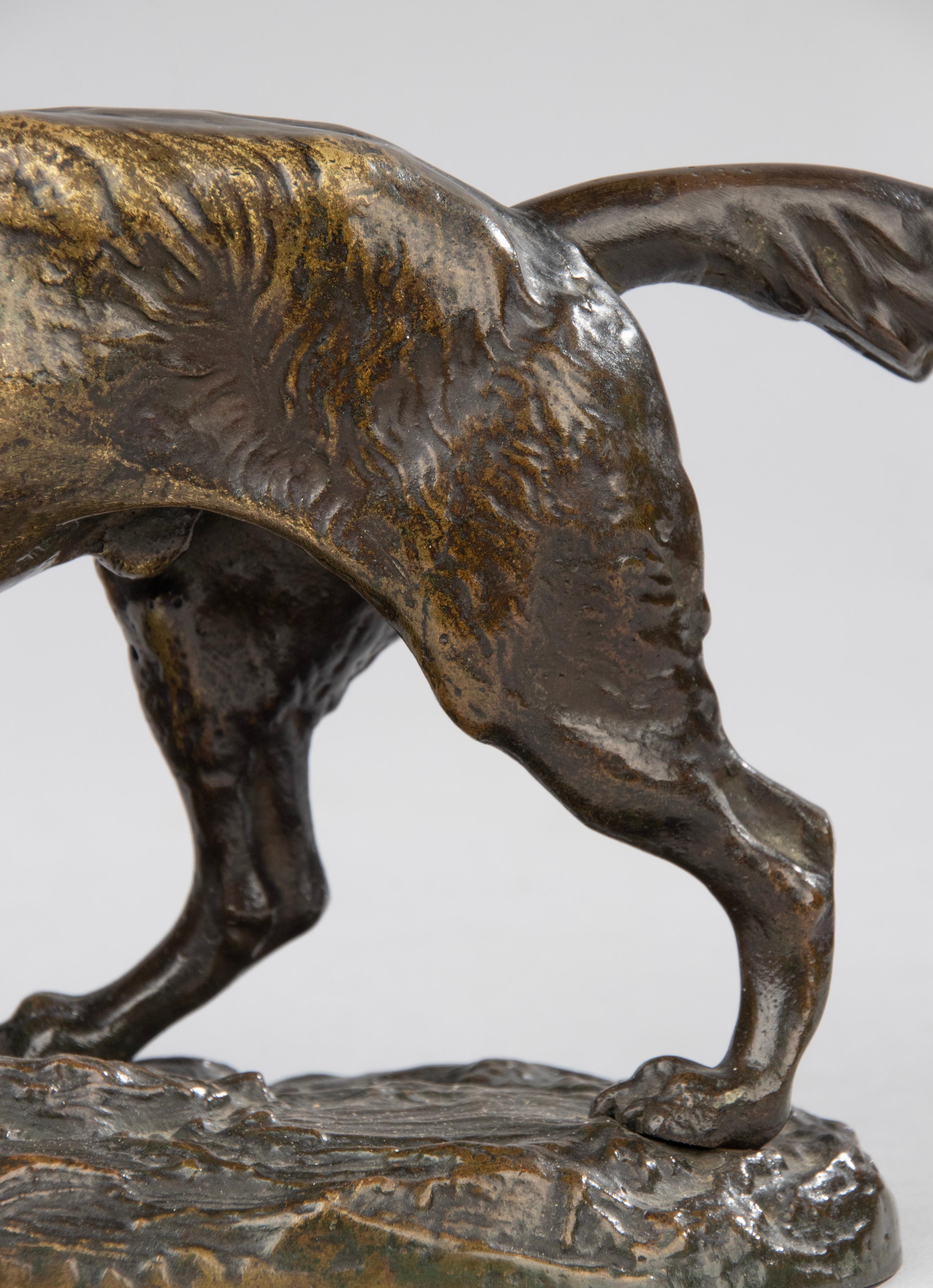 Late 19th Century Bronze Sculpture Hunting Dog 7