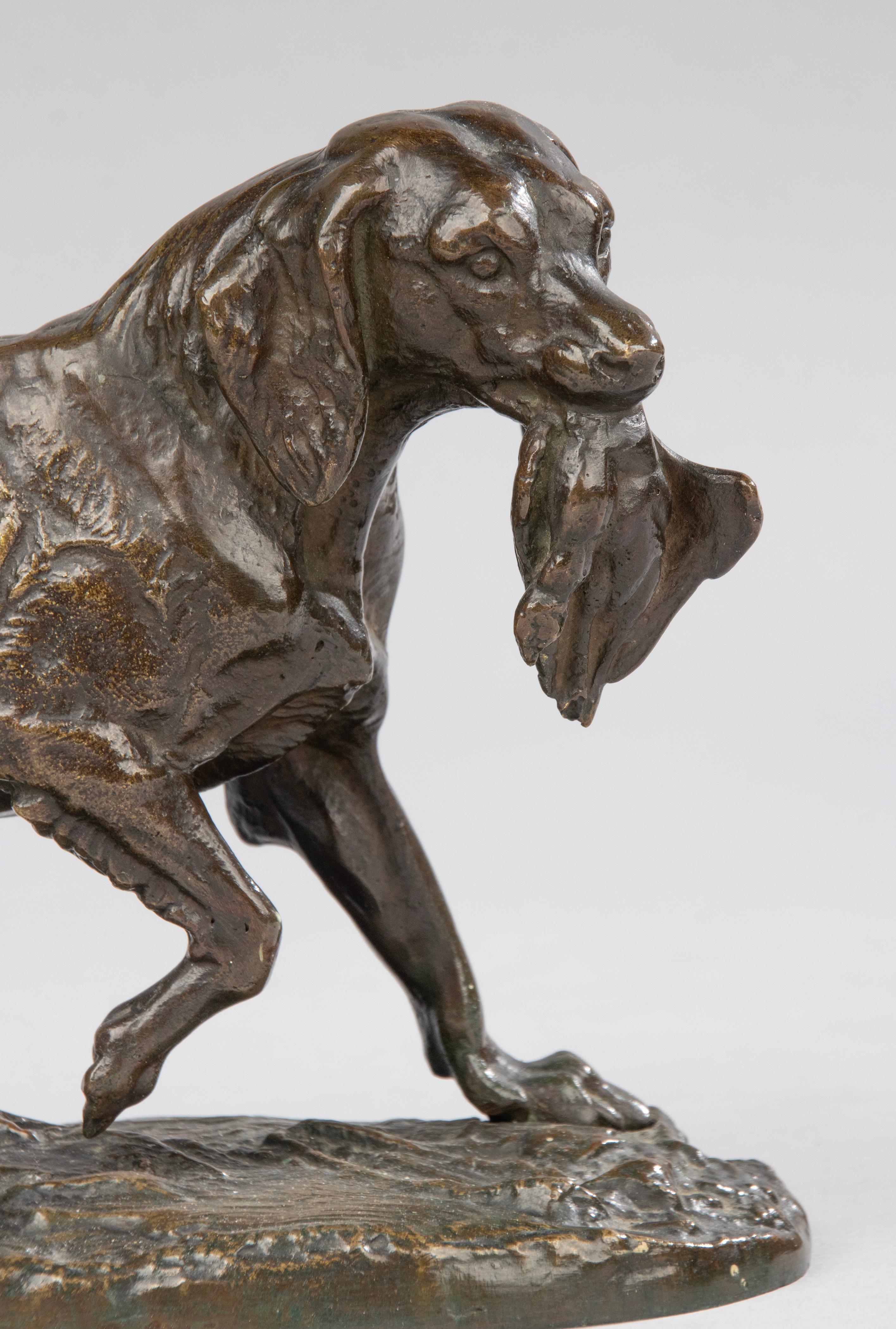 A fine bronze casted sculpture of French Setter dog. The bronze has the original olive-brown patina. It is made in France, circa 1890-1900. Not signed, maker unknown. The sculpture has a beautiful patina and is in good condition.