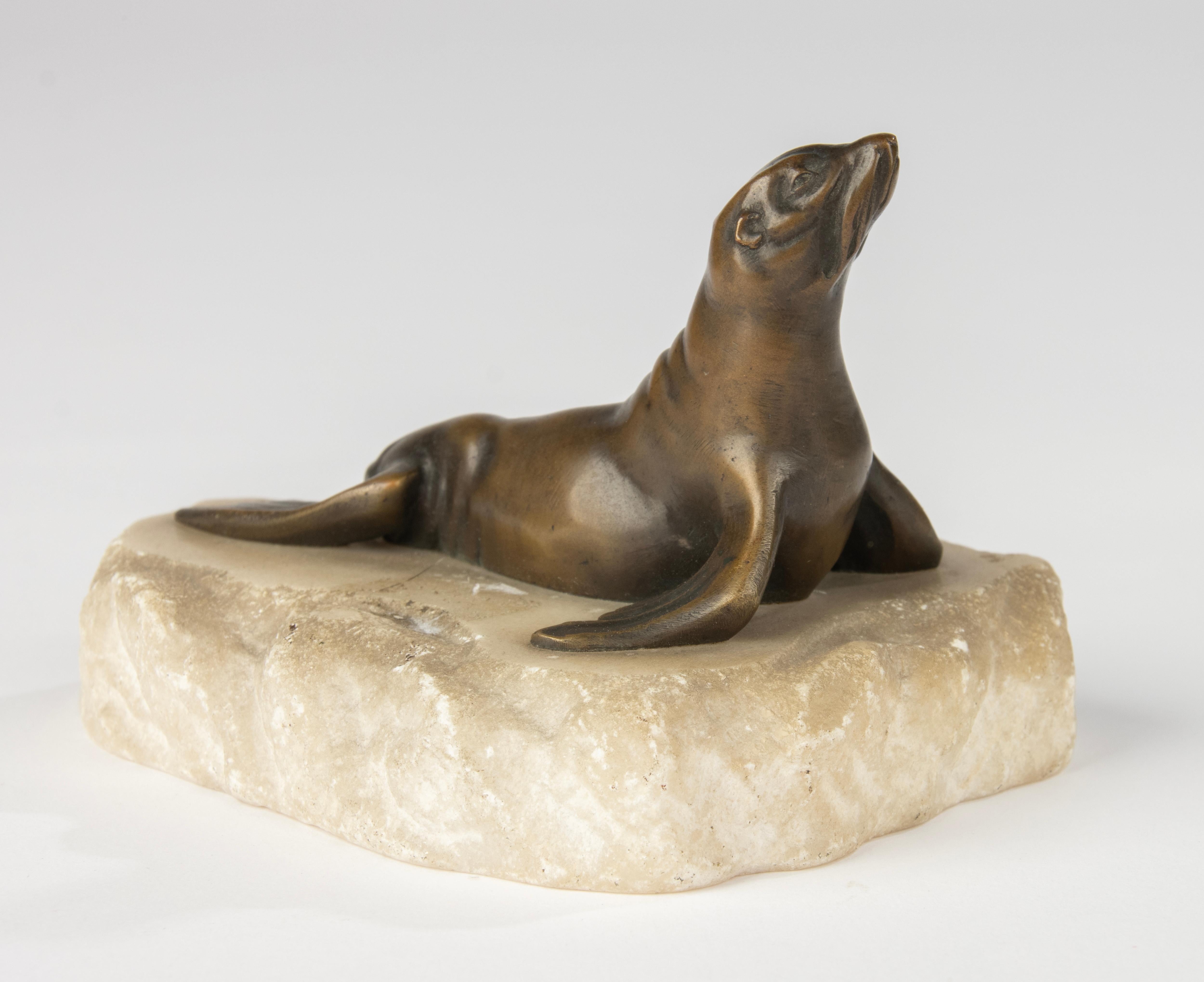 Una rara e affascinante scultura in bronzo del XIX secolo raffigurante un leone marino, immortalato in una posa elegante e realistica con la testa delicatamente inclinata verso l'alto. Le linee morbide e la modellazione raffinata del corpo sono