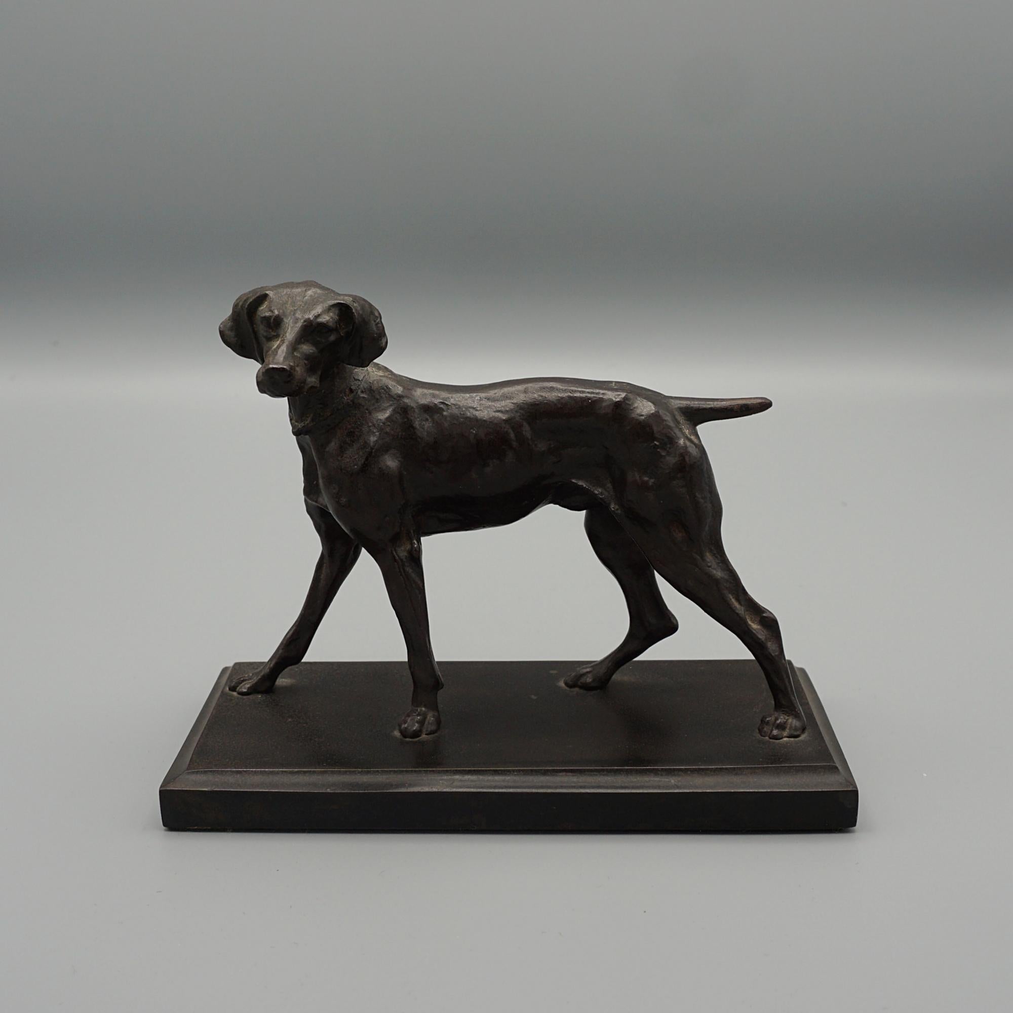 A late 19th century bronze study of an alert Pointer. Unsigned. 
