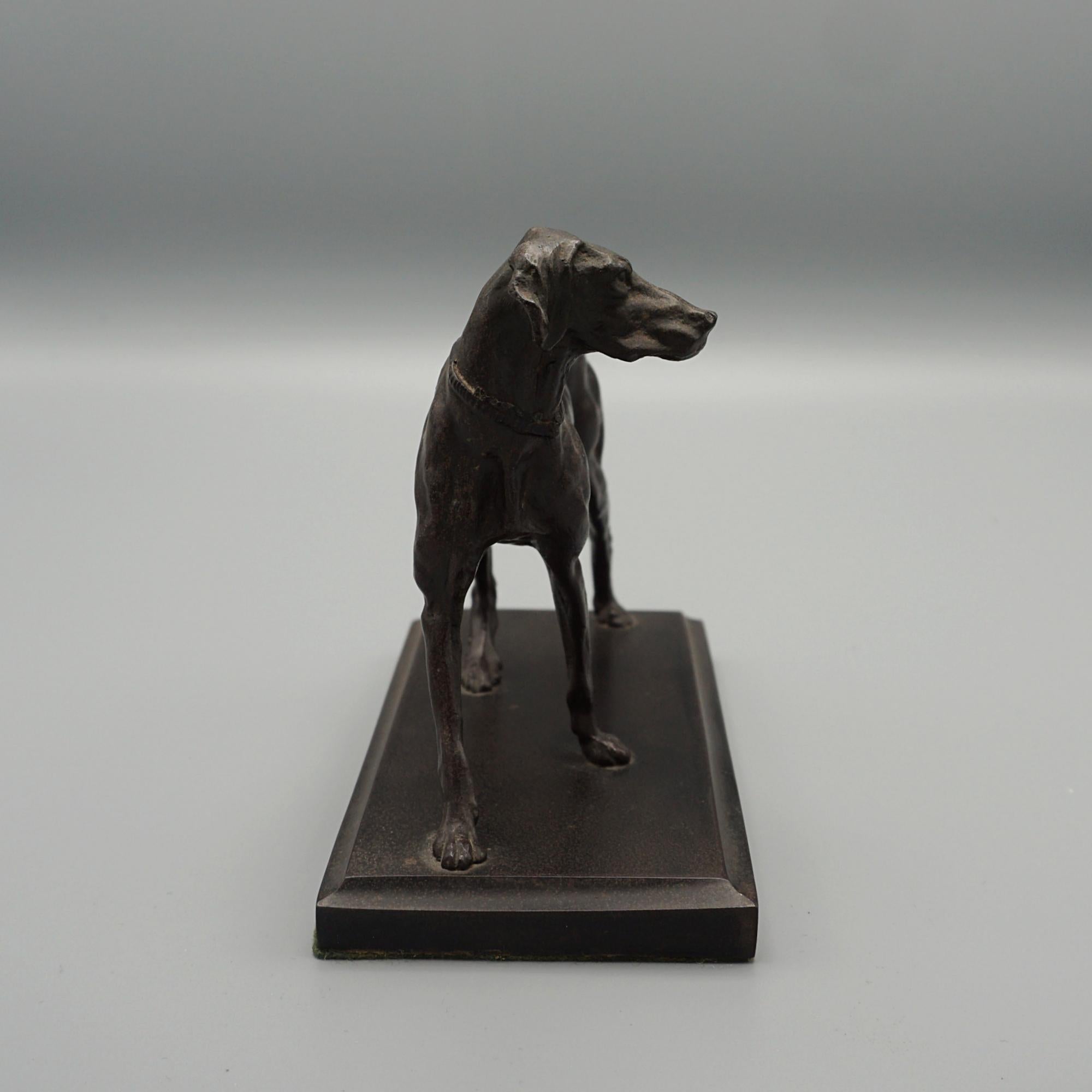 Late 19th Century Bronze Standing Pointer  In Good Condition For Sale In Forest Row, East Sussex
