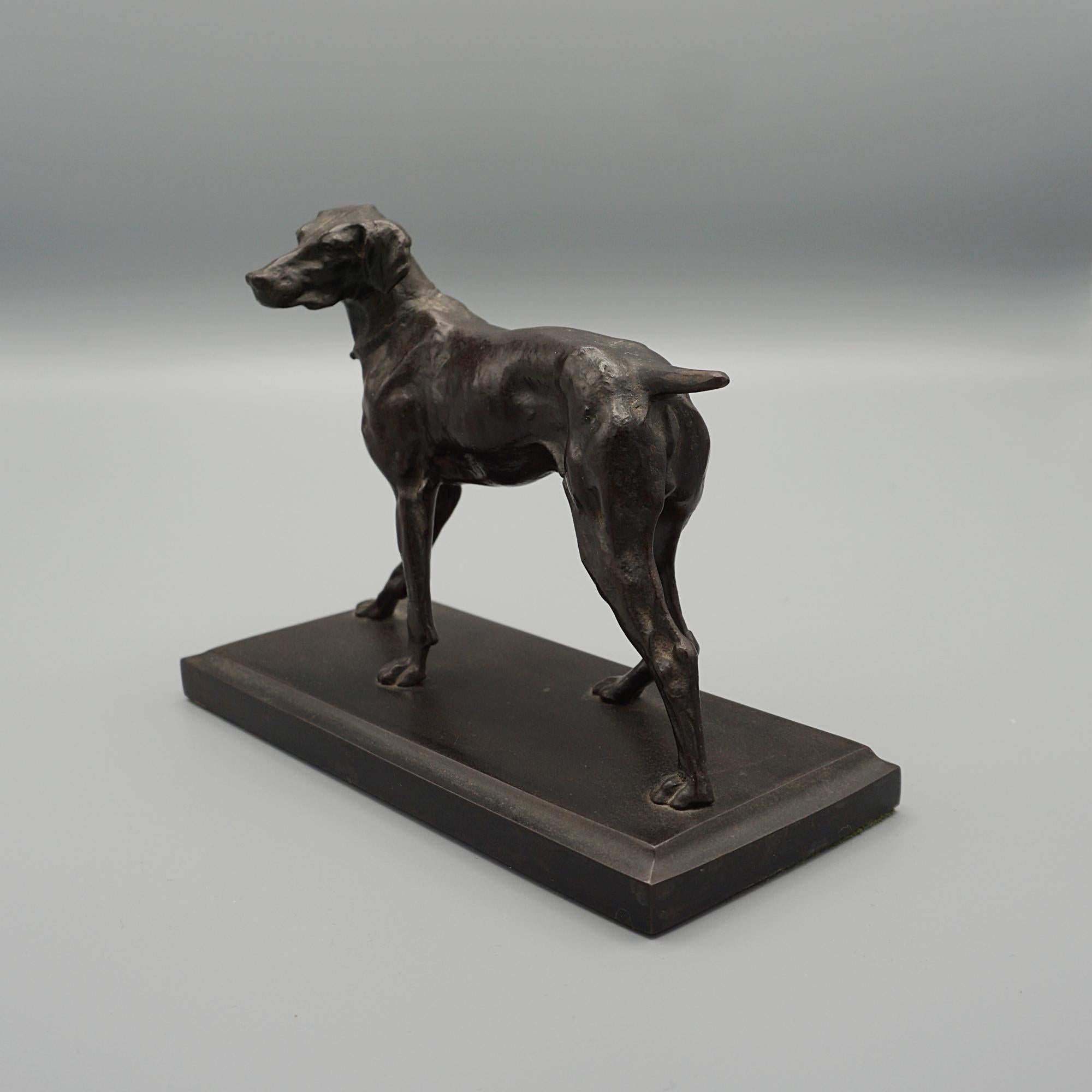 Late 19th Century Bronze Standing Pointer  For Sale 2