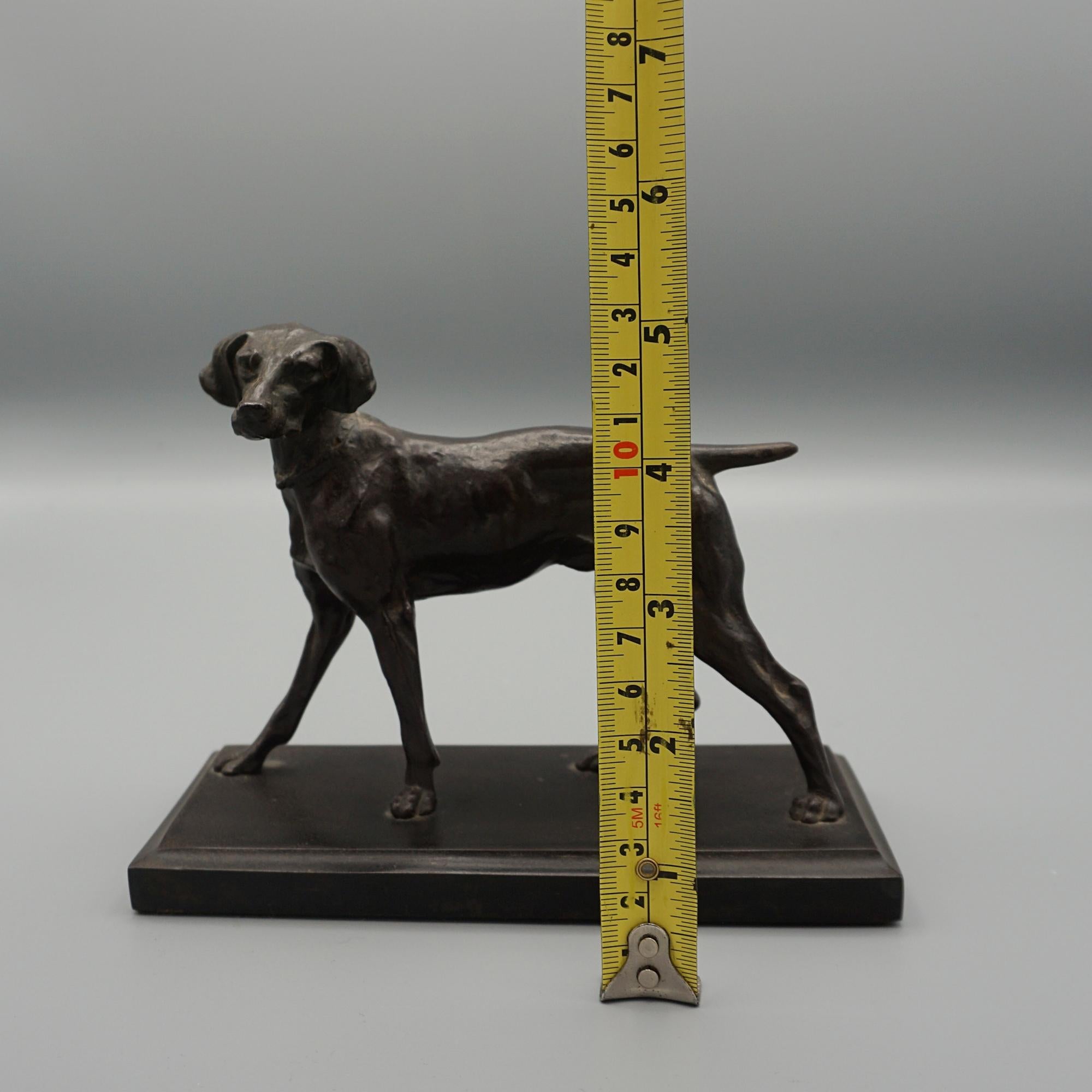 Late 19th Century Bronze Standing Pointer  For Sale 5