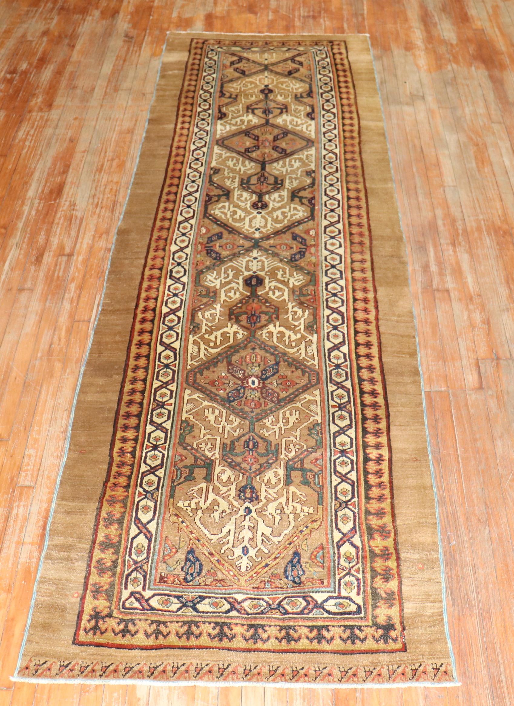 Late 19th Century Camel Hair Runner For Sale 7