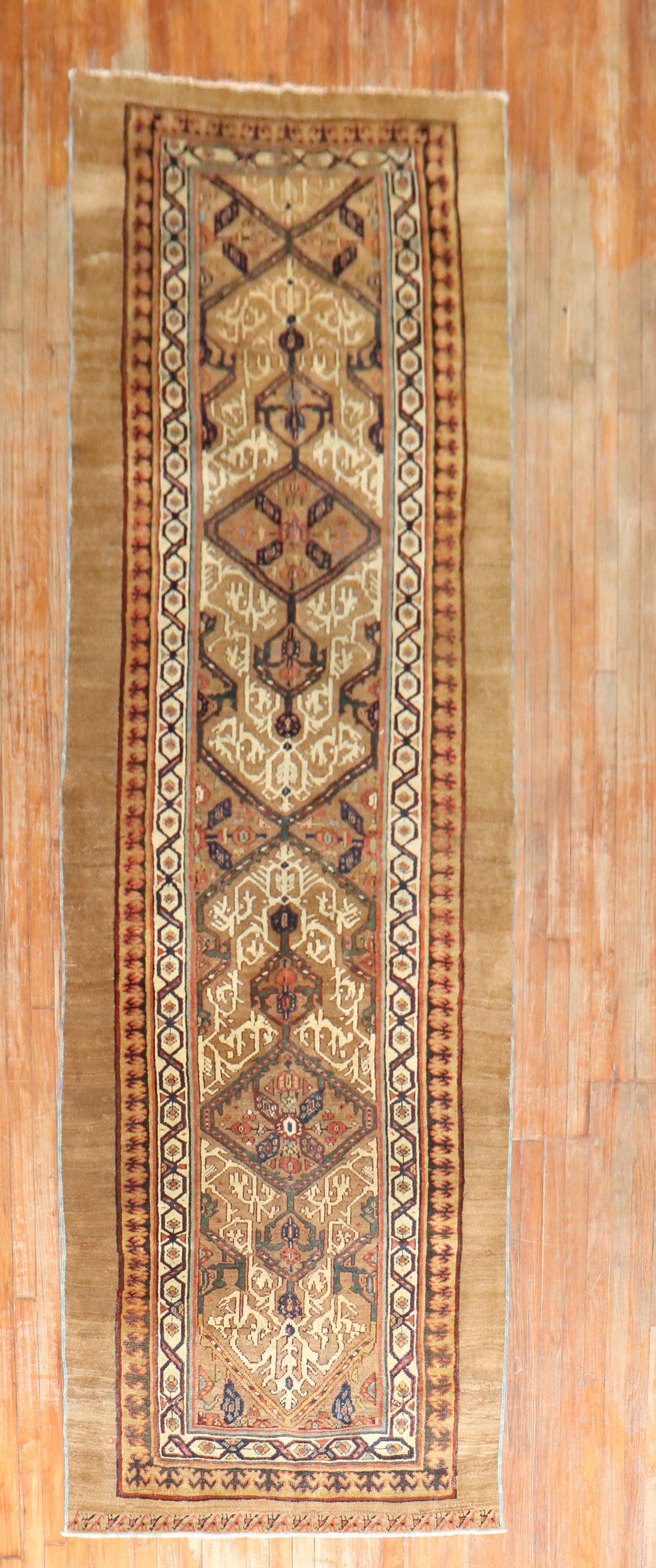 A late 19th century tribal highly decorative Persian Bakshaish Camel Hair runner. Great quality and great condition.

Measures: 3'8