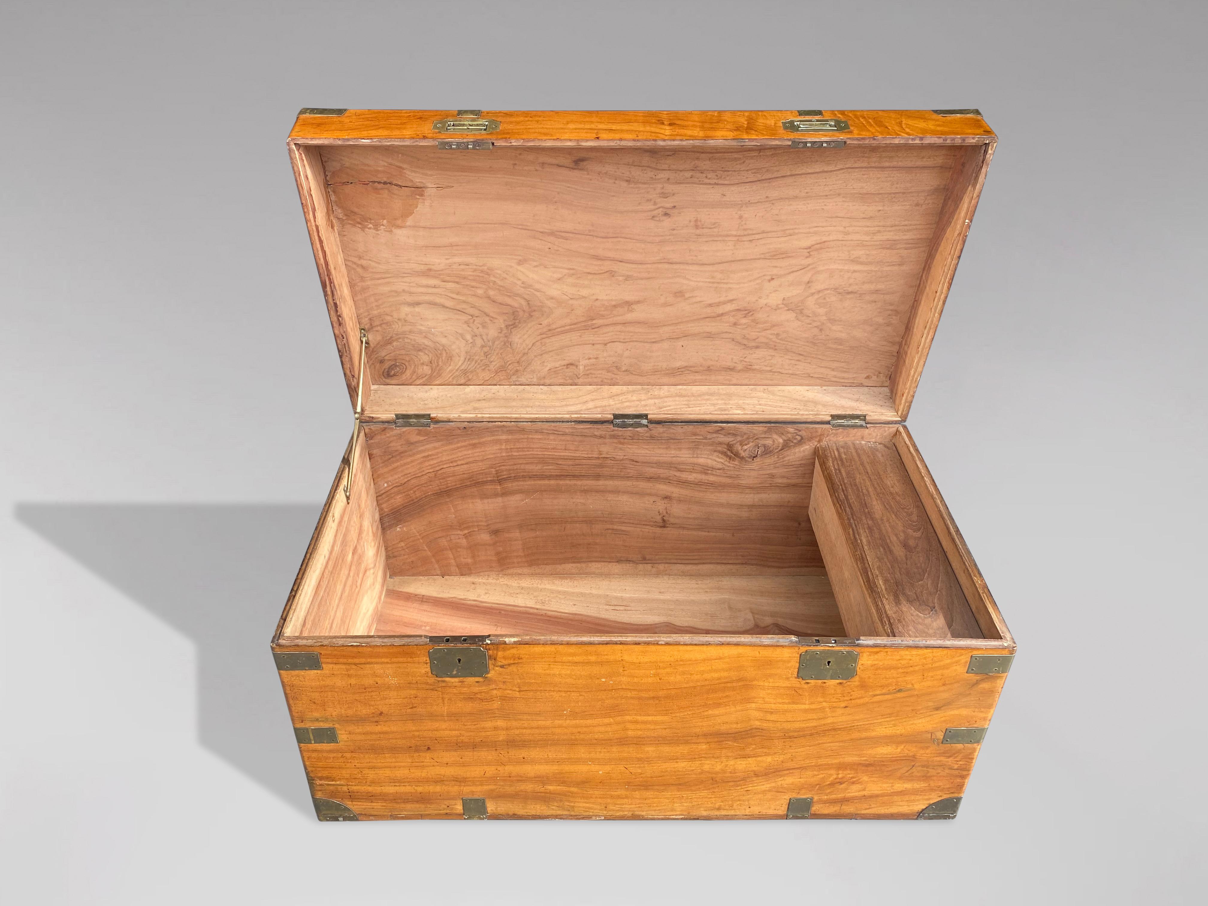 Late 19th Century Camphor Wood Trunk or Chest For Sale at 1stDibs