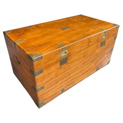 Late 19th Century Camphor Wood Trunk or Chest