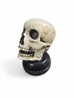 Late 19th Century Carved Skull with Wooden Base
