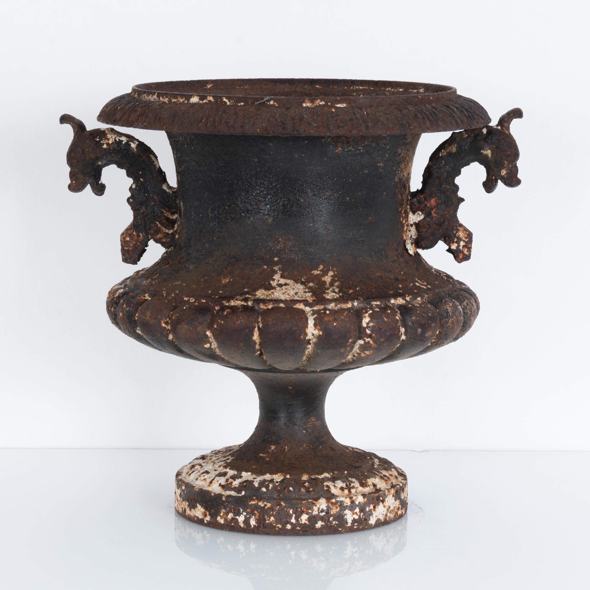 This freestanding antique planter from France, circa 1880, is made of dark cast iron with a unique oxidized patina. A pair of elaborate handles, moulded in the shape of animal heads, emerge from a tulip shaped urn with a scalloped base. A delightful