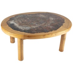 Late 19th Century Coffee Table in Elm Wood Frame and Petrified Wood Top
