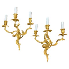 Late 19th Century Couple of Gilt Bronze Appliques