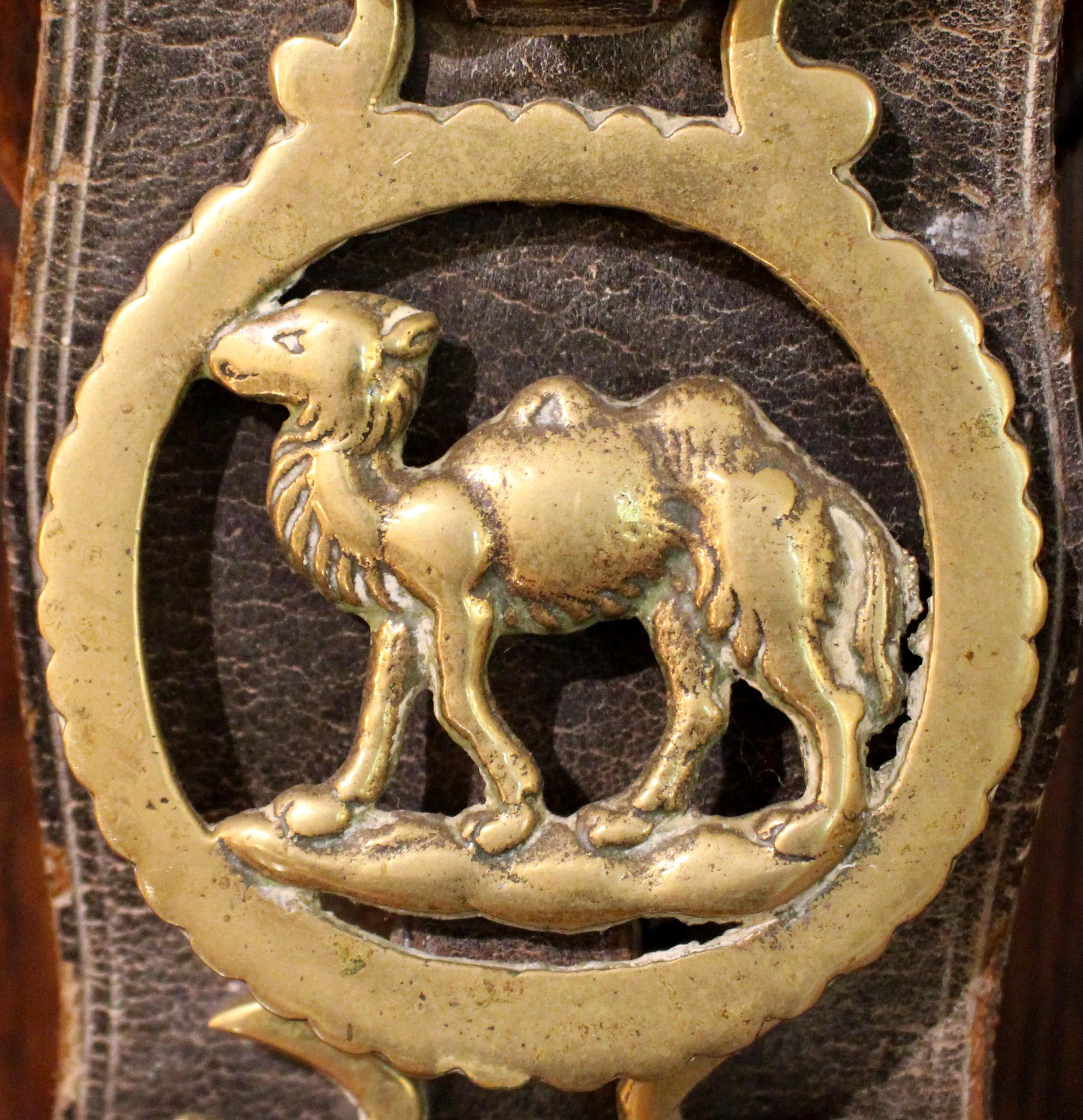 Late 19th Century English 5-Brass Leather Horse Strap For Sale 1