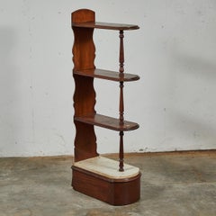 Late 19th Century English Chemist Mahogany Shelf
