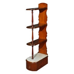 Late 19th Century English Chemist Mahogany Shelf