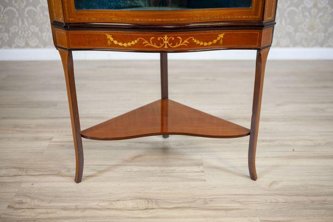 Late-19th Century English Corner Cabinet in Brown For Sale 8
