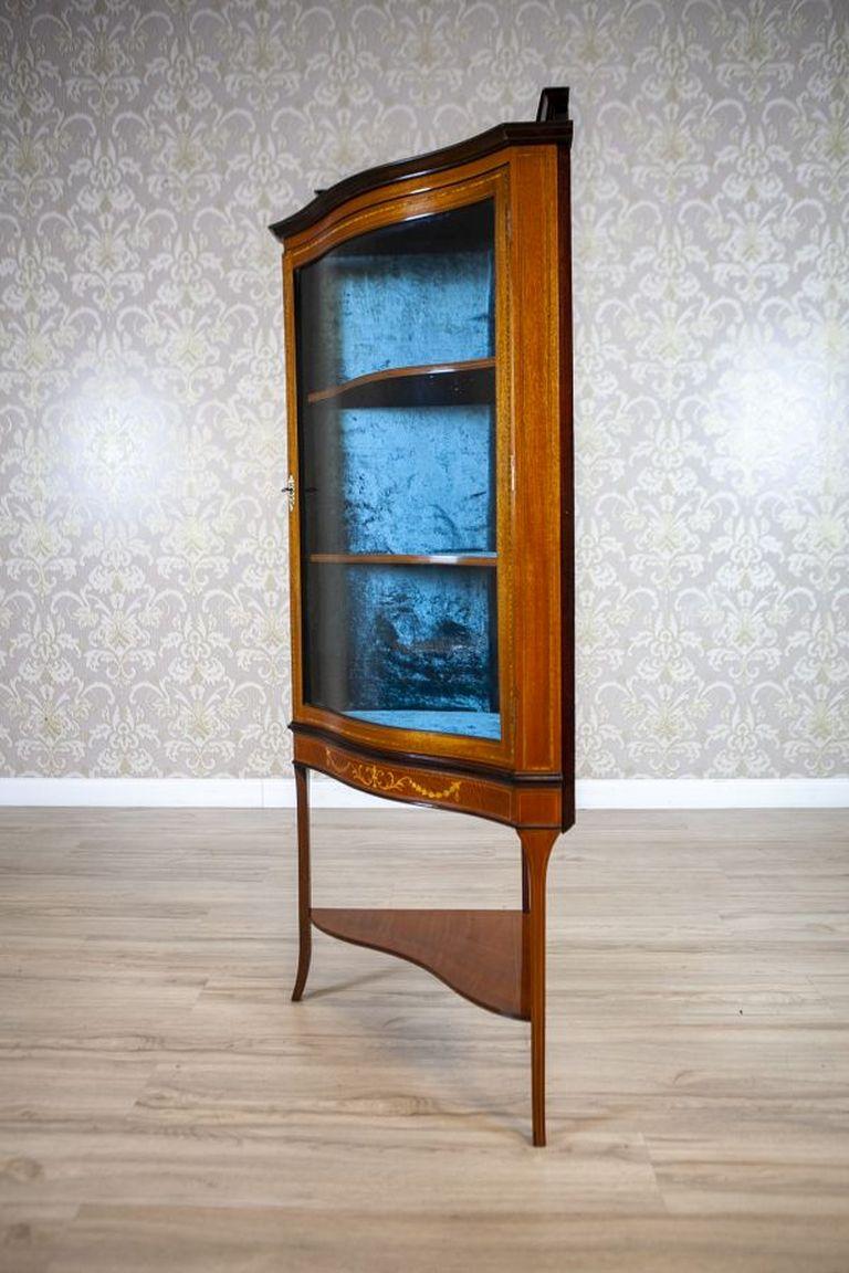 Late-19th Century English Corner Cabinet in Brown In Good Condition For Sale In Opole, PL