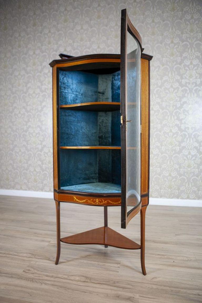 Fabric Late-19th Century English Corner Cabinet in Brown For Sale