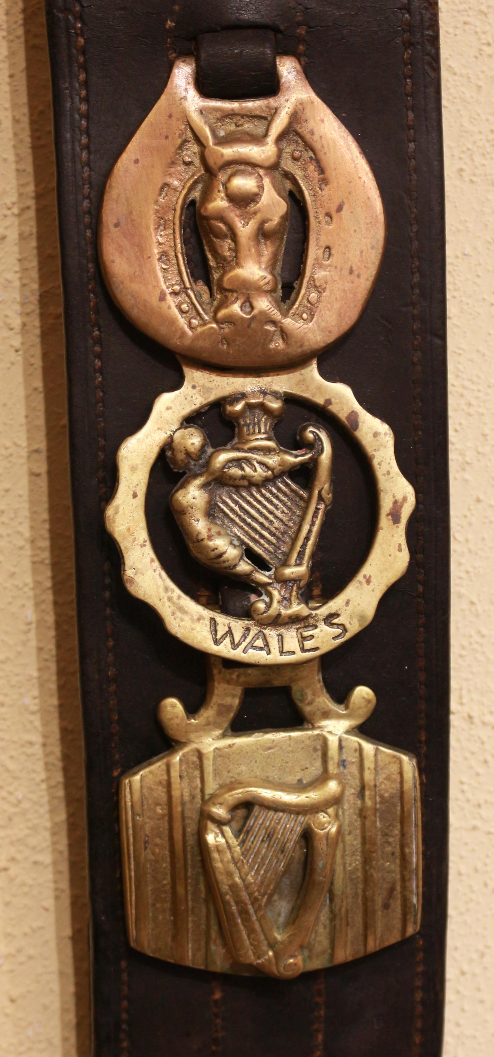 Late 19th Century English Long Leather Horse Strap In Good Condition For Sale In Chapel Hill, NC