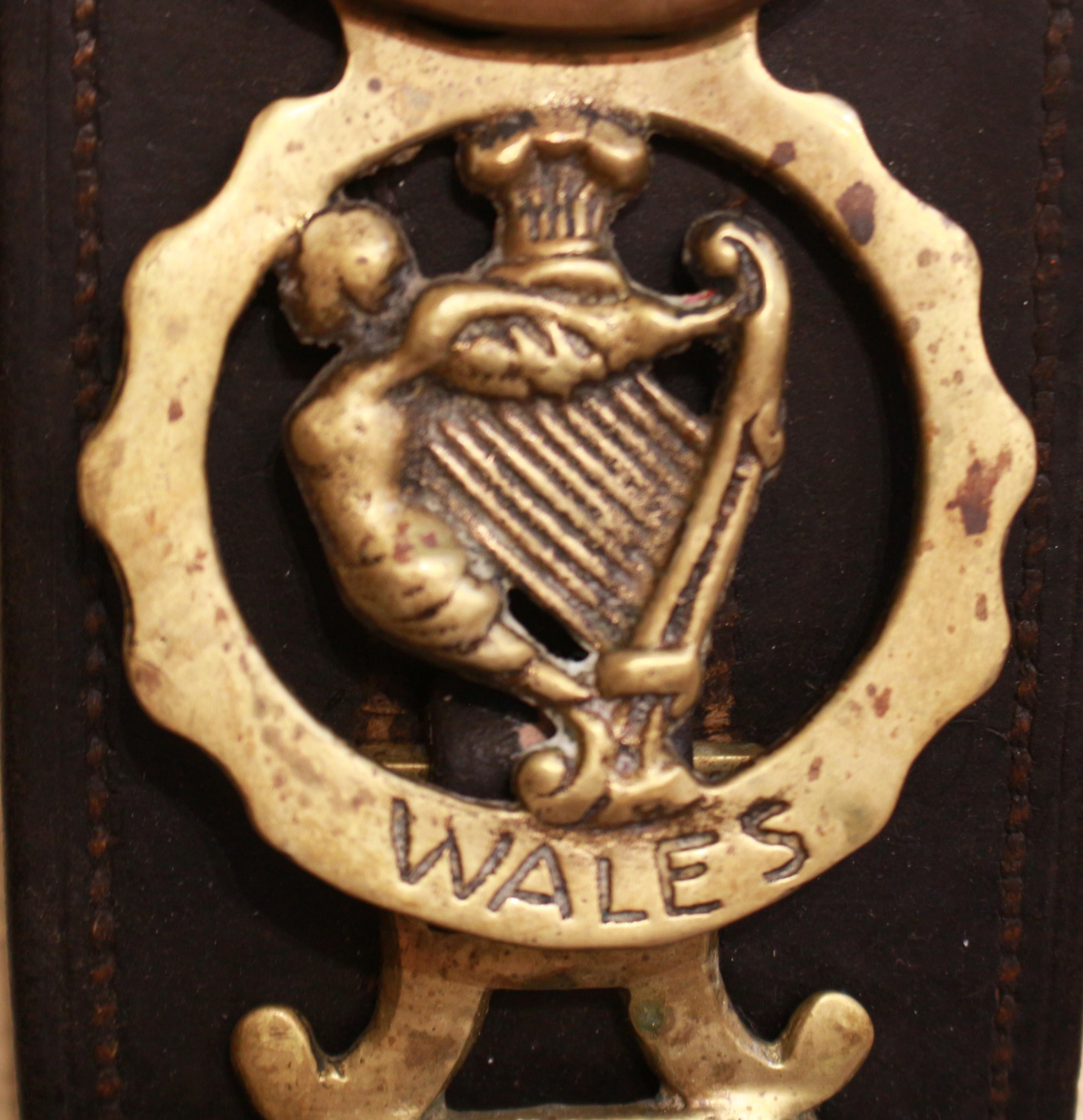 Late 19th Century English Long Leather Horse Strap For Sale 1