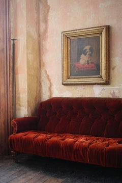 Late 19th Century English Oil on Canvas Japanese Spaniel Lap Dog Portrait