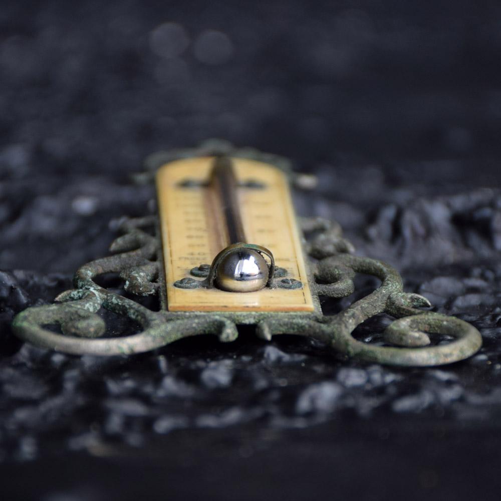 Late 19th Century English Opticians Thermometer 2