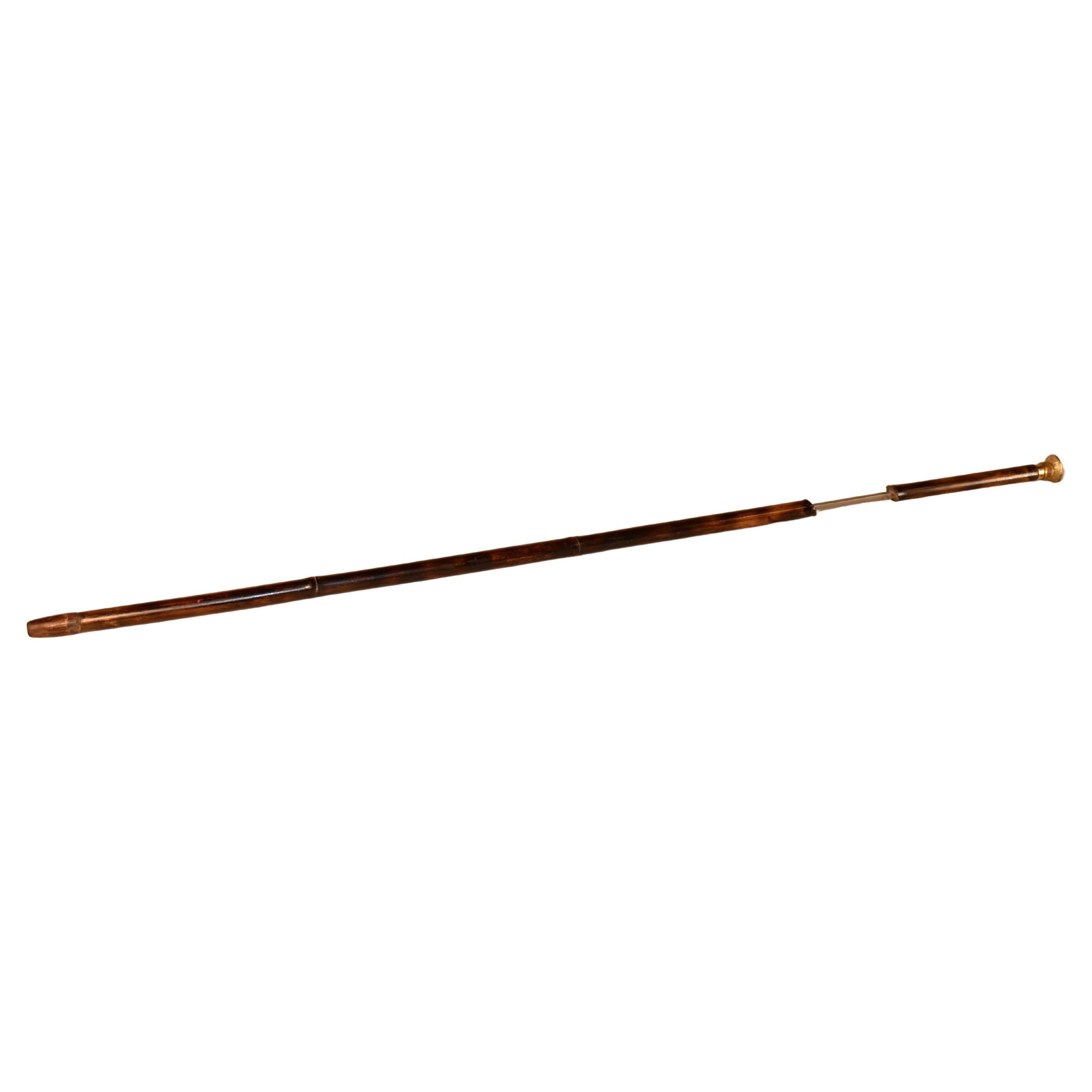 Late 19th Century English Sword Cane with a Snuff Top