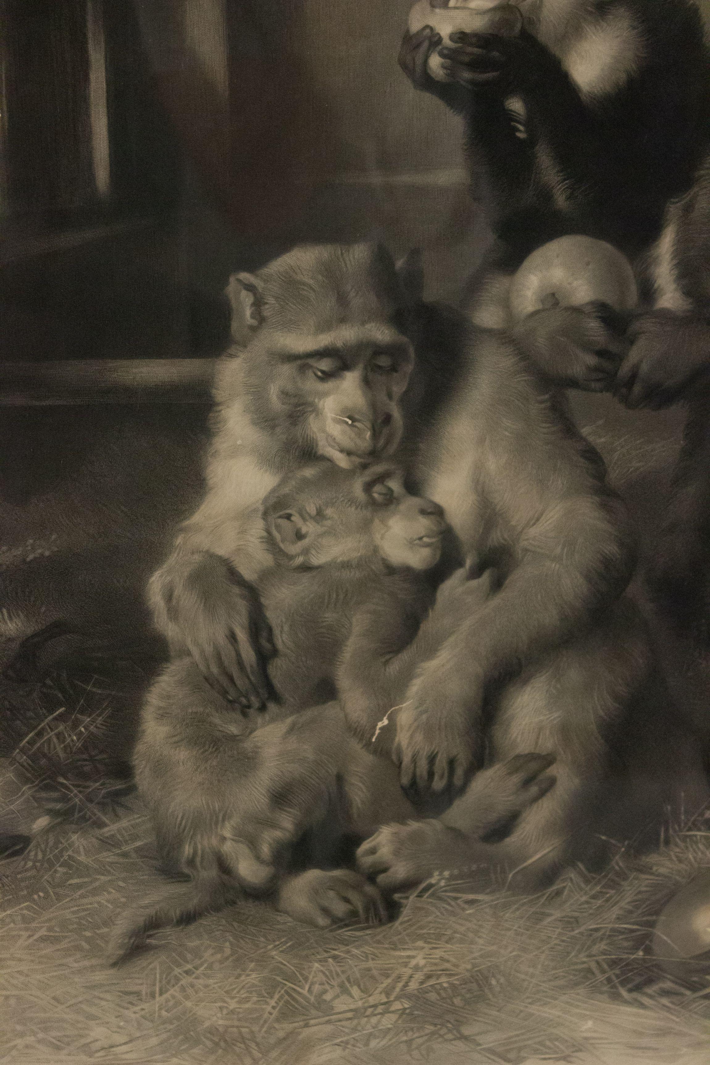 Fin du 19e siècle Lithographie anglaise victorienne encadrée en bois représentant 3 singes avec des fruits dans une grange.
 