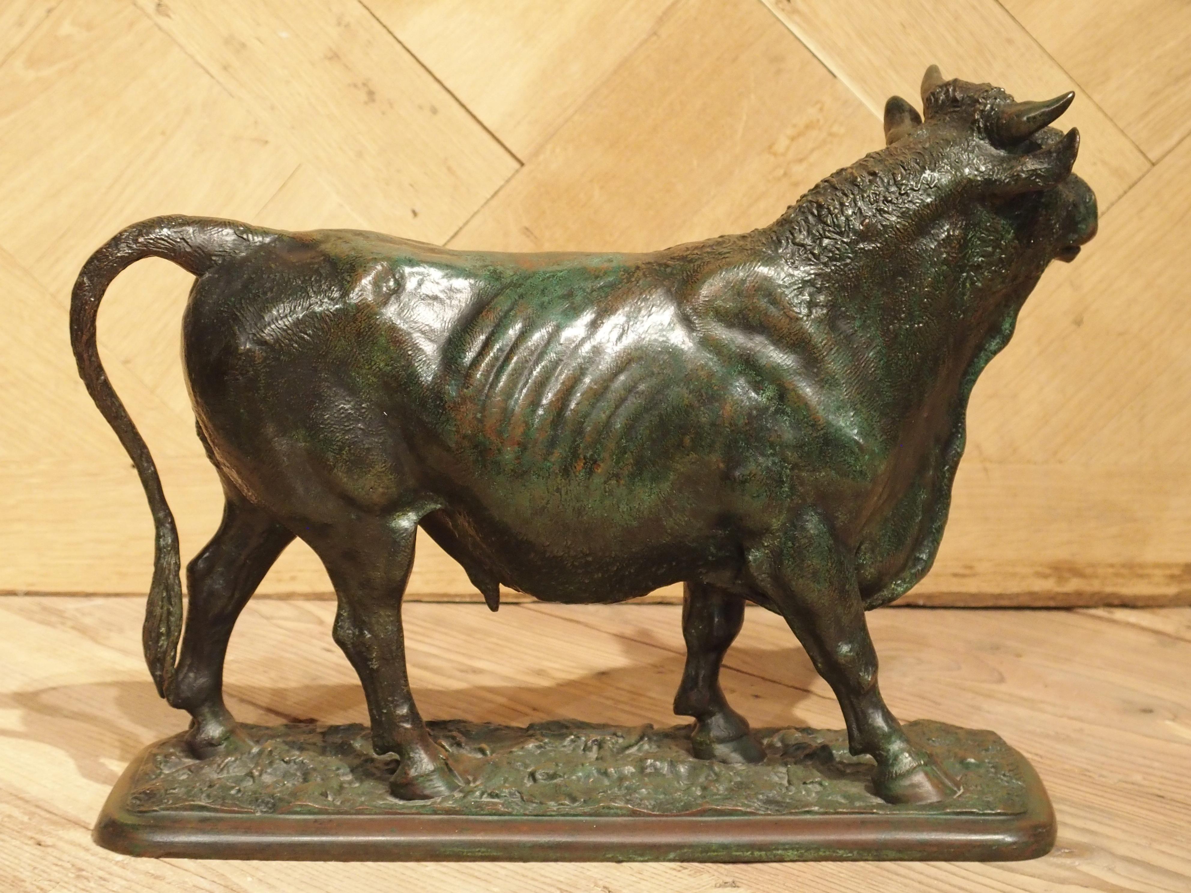 Late 19th Century European Bronze Statue of a Bull 8