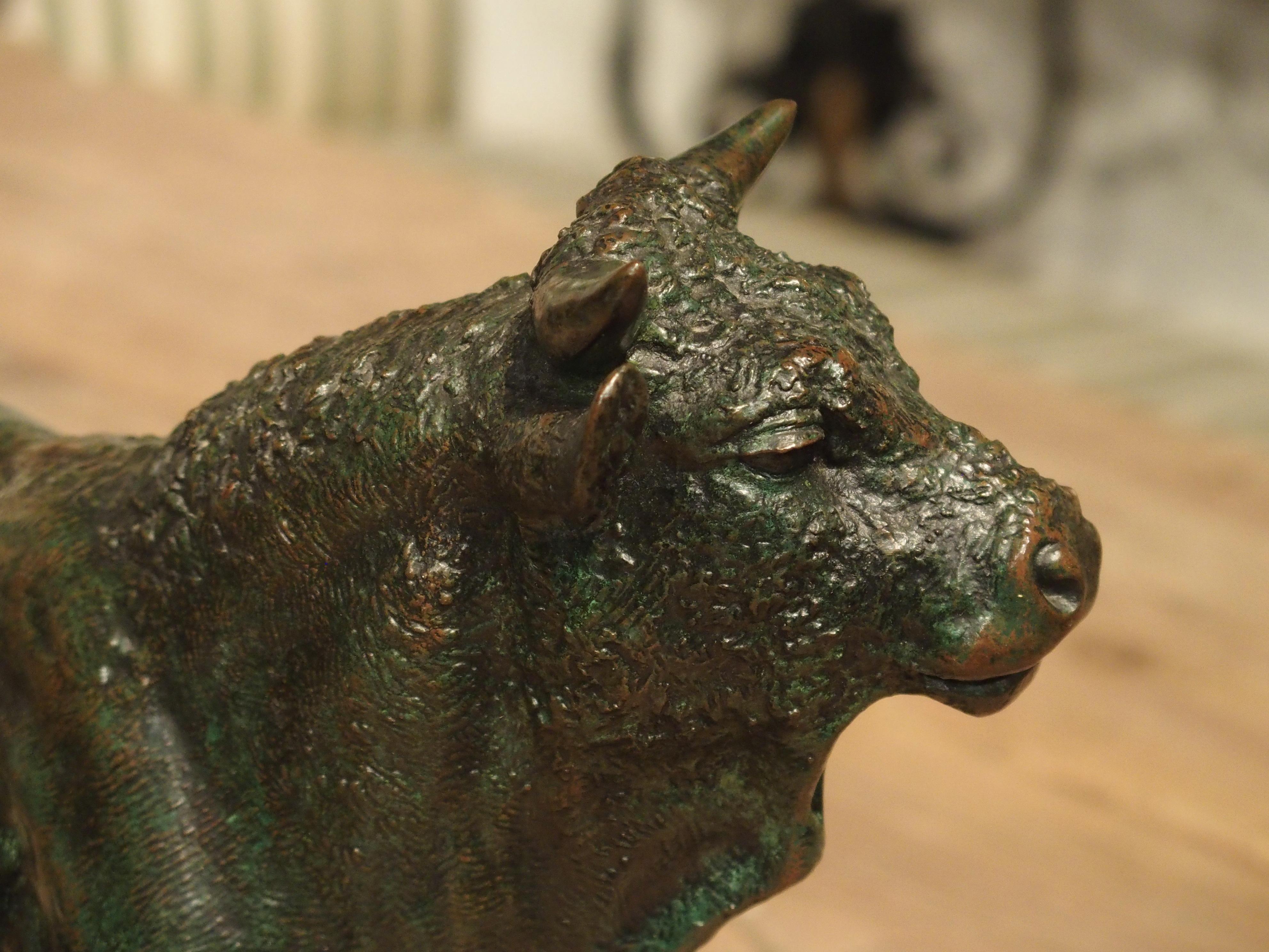 From the latter half of the 1800s, this wonderful patinated bronze statue of a standing bull will captivate the attention of anyone fortunate enough to view it. Originally cast in the foundries of Europe (there is no visible signature), this piece