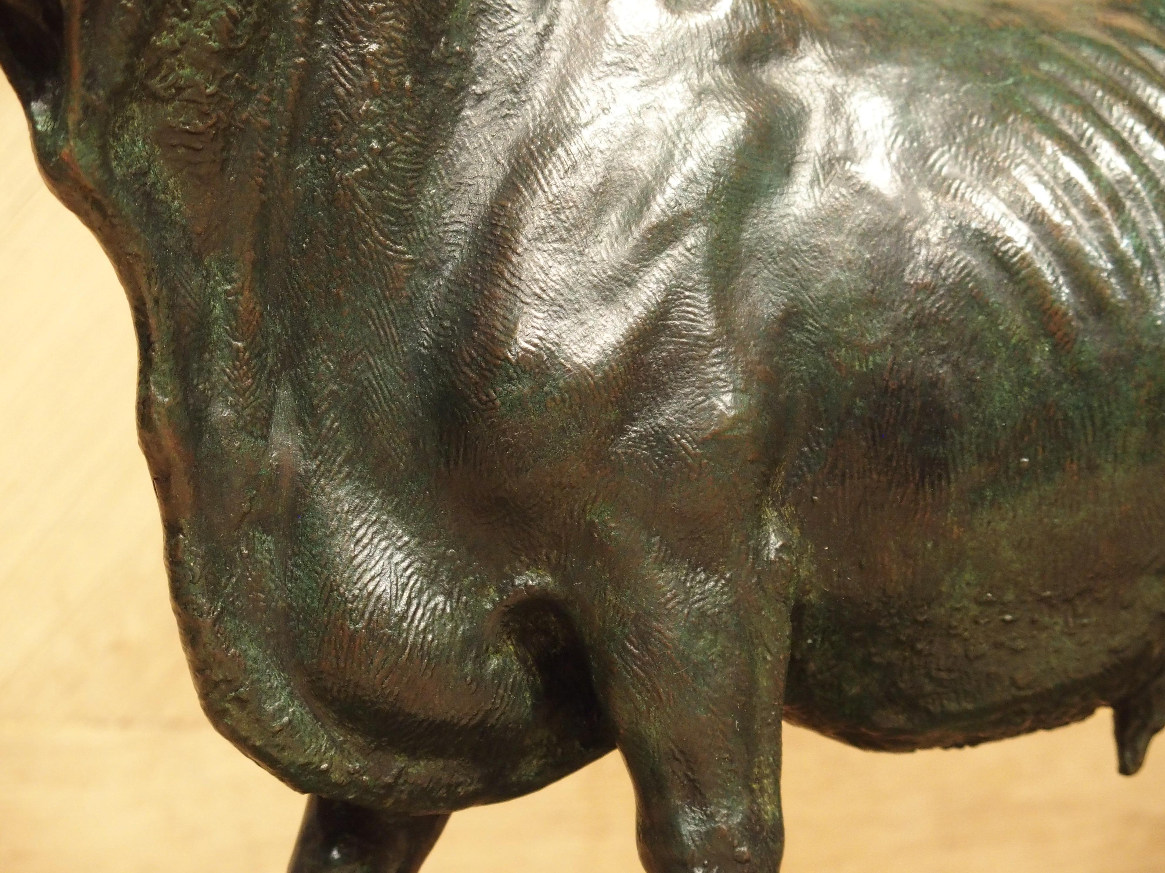 Late 19th Century European Bronze Statue of a Bull 4