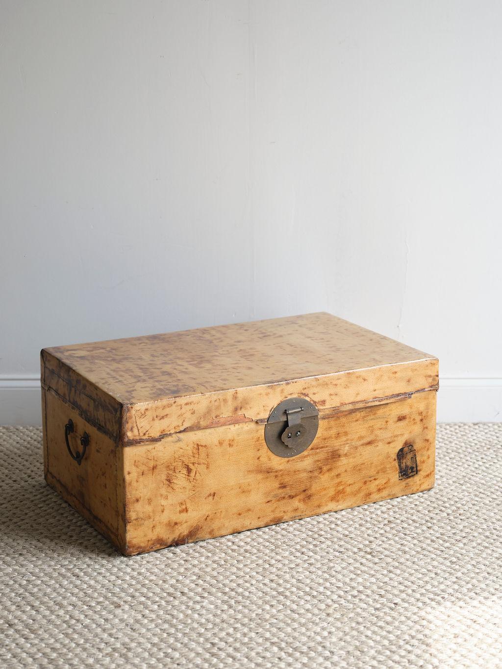 Victorian Late 19th Century Faux Leather Lacquered Trunk, circa 1880 For Sale