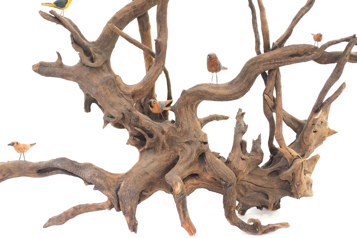 Late 19th Century Folk Art Driftwood Bird Tree For Sale 12