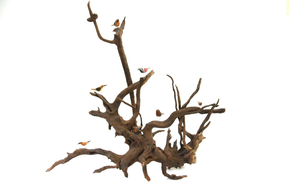 Late 19th century Folk Art driftwood bird tree featuring seven hand-carved wood birds in original polychrome paint. Wonderful shape to the driftwood. 

Likely Pennsylvania.

Measures: 22