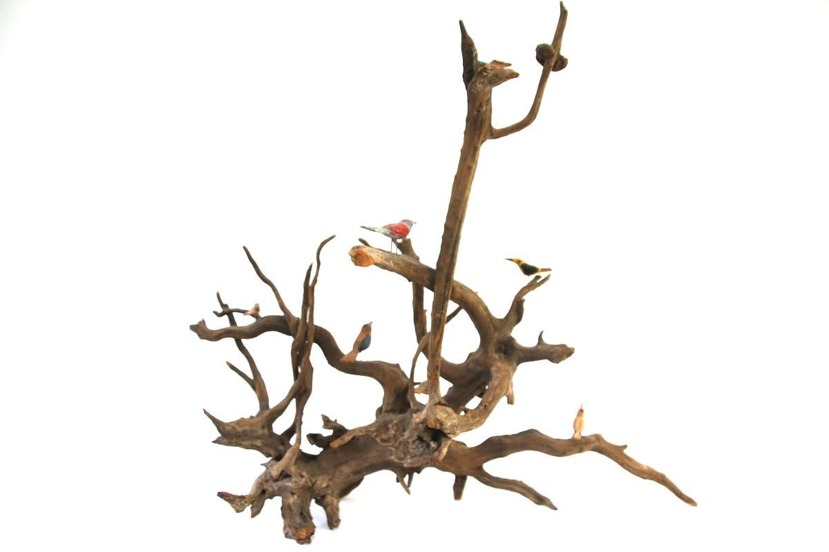 Late 19th Century Folk Art Driftwood Bird Tree For Sale 1