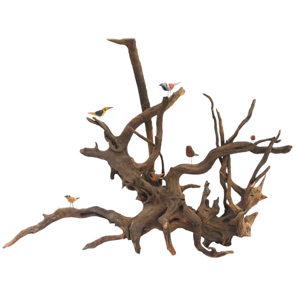 Late 19th Century Folk Art Driftwood Bird Tree For Sale