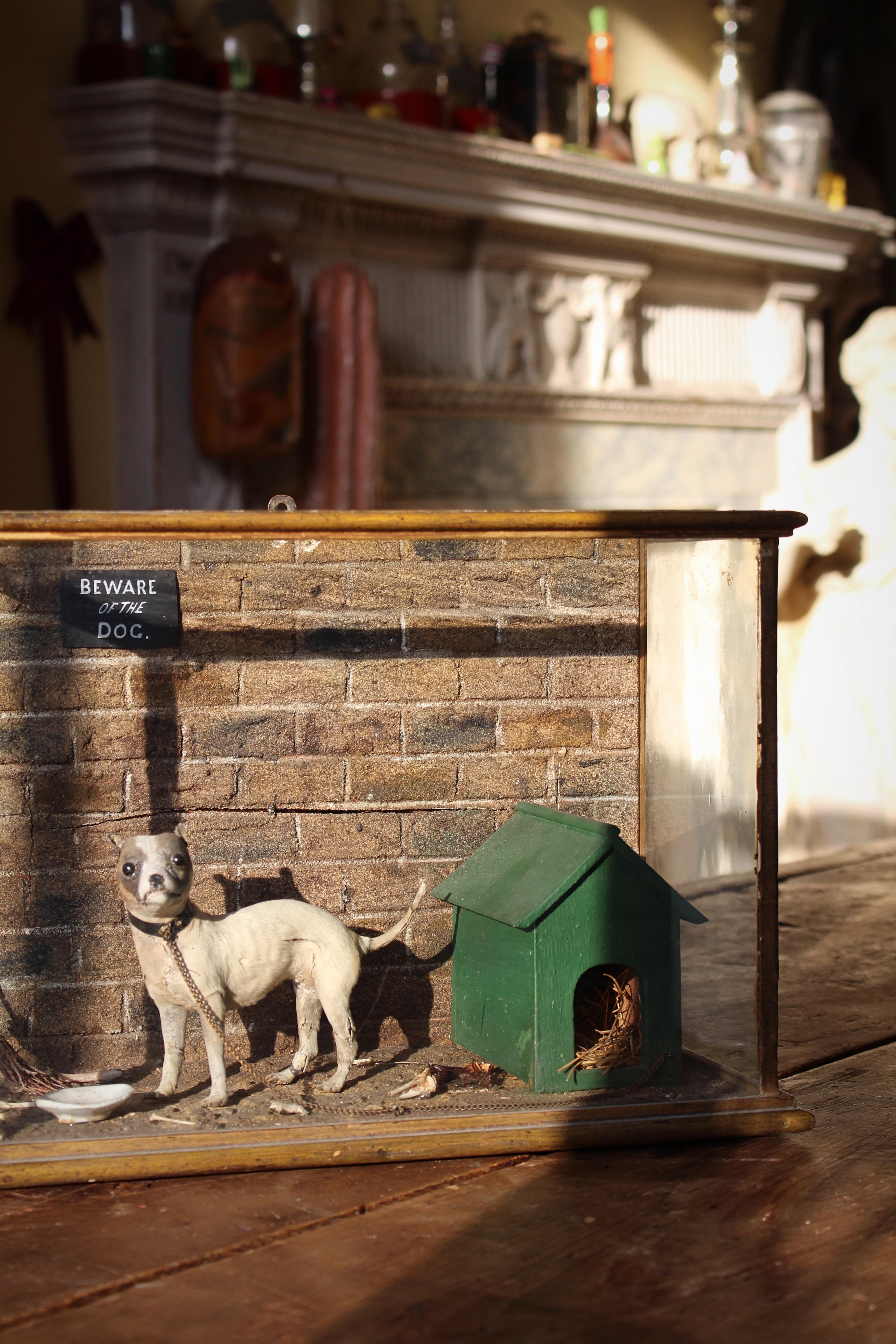 Late 19th Century Folk Art Victorian Miniature English Taxidermy Dog For Sale 9