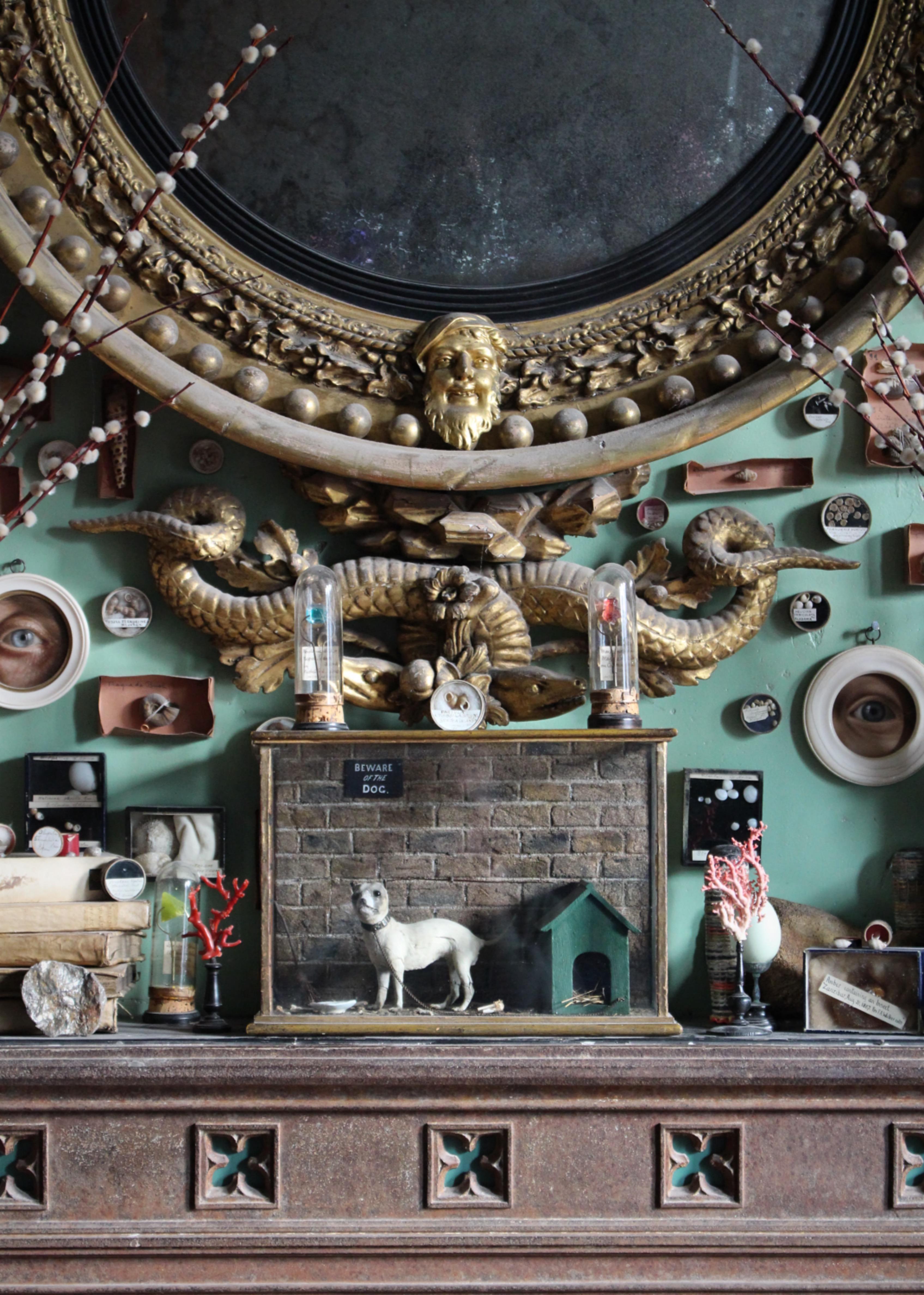 A very rare late Victorian/Early Edwardian taxidermy dog, often scaled down by the best naturalist of the period. 

Housed in its original glazed and gilt wood case, with delicately decorated interior, hand painted sign 