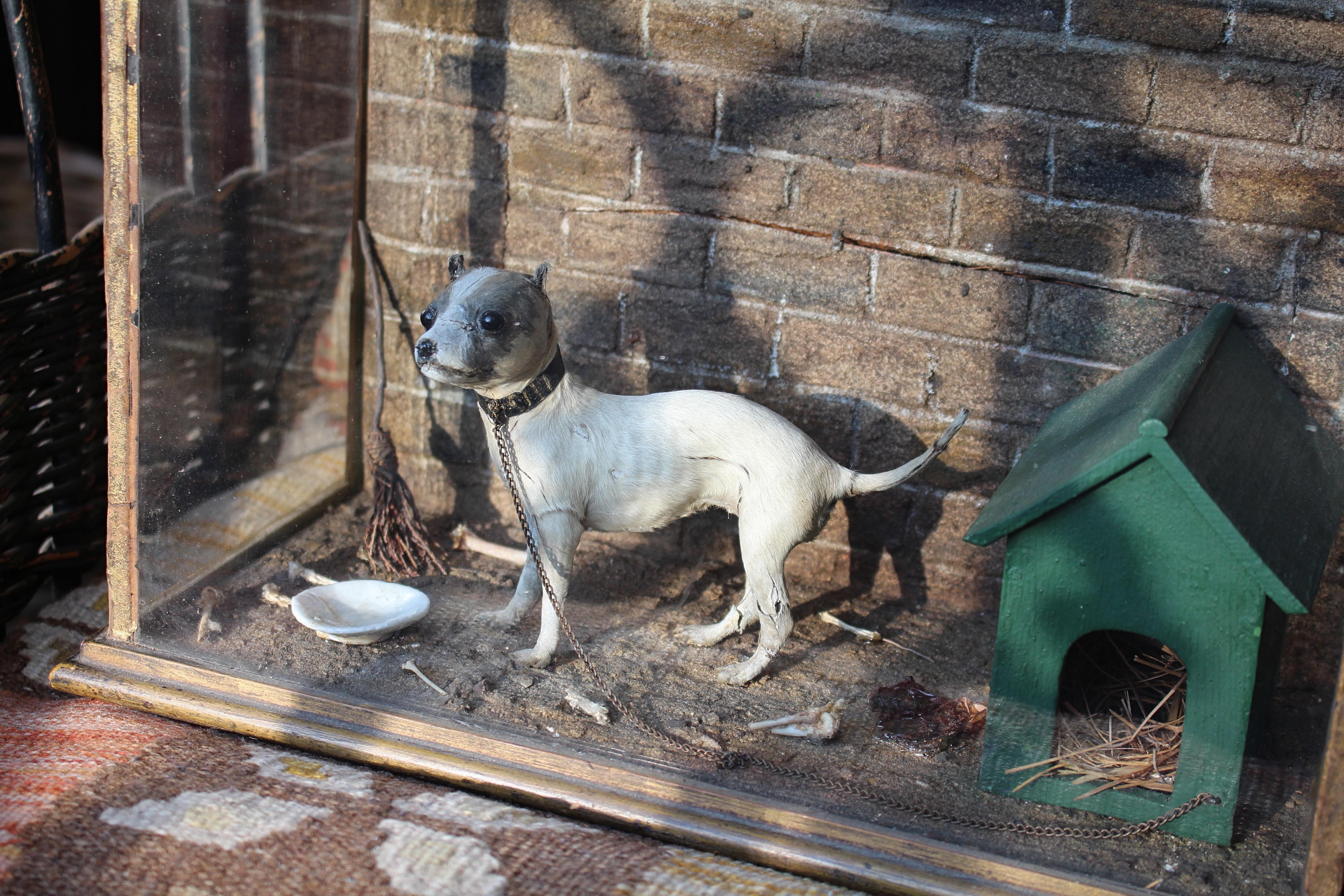 Late 19th Century Folk Art Victorian Miniature English Taxidermy Dog In Good Condition For Sale In Lowestoft, GB