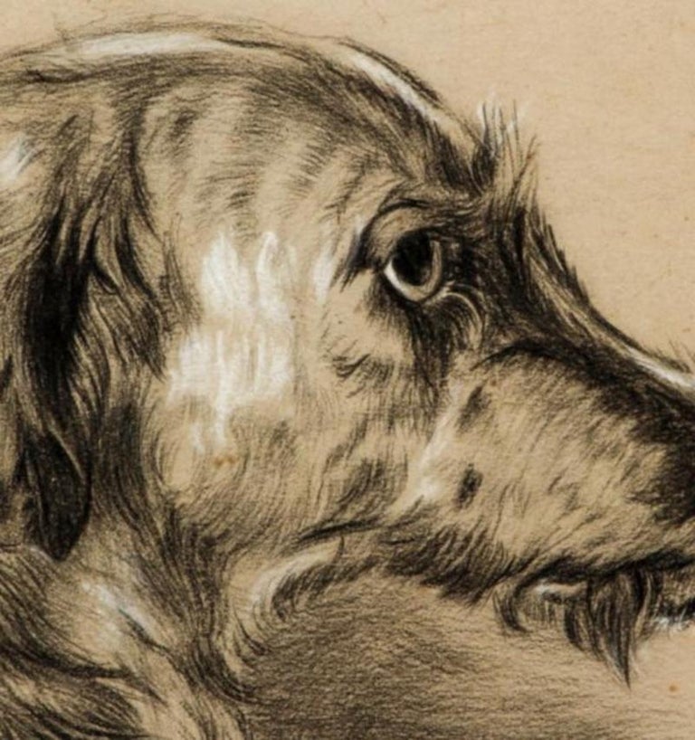 English Late 19th Century Framed Charcoal & Gouache Drawing of Russian Wolfhound For Sale