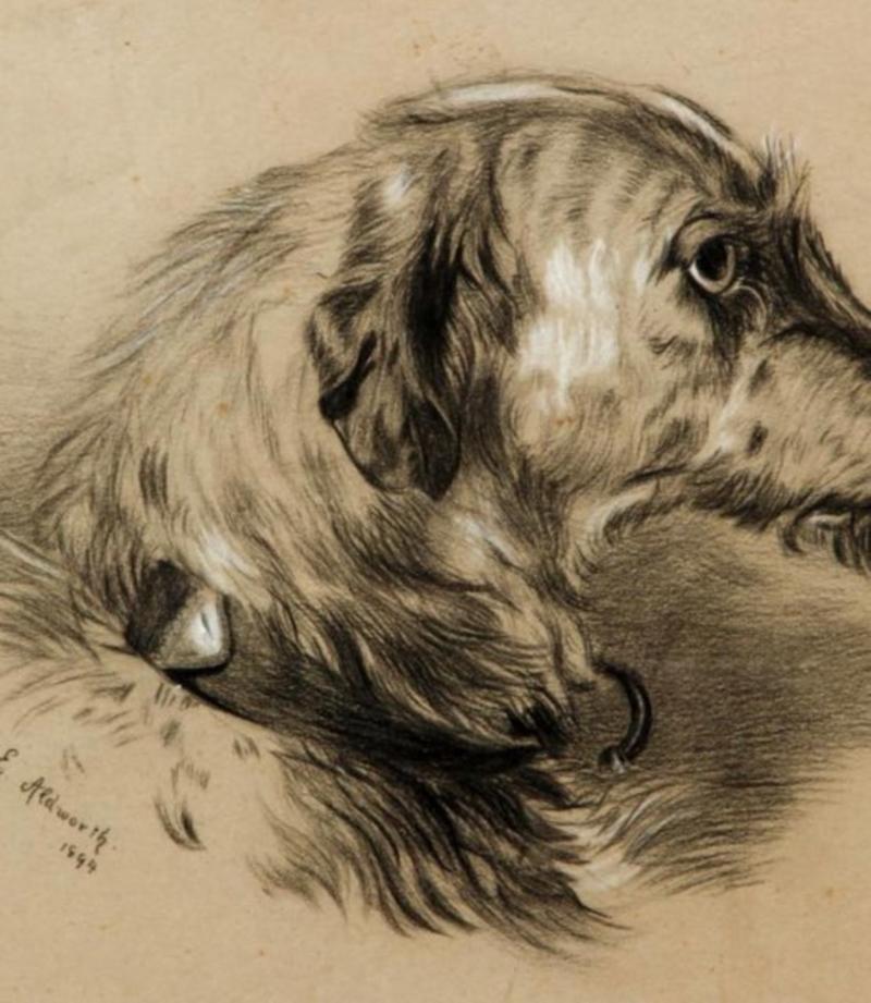 English Late 19th Century Framed Charcoal Gouache Signed Drawing of Russian Wolfhound