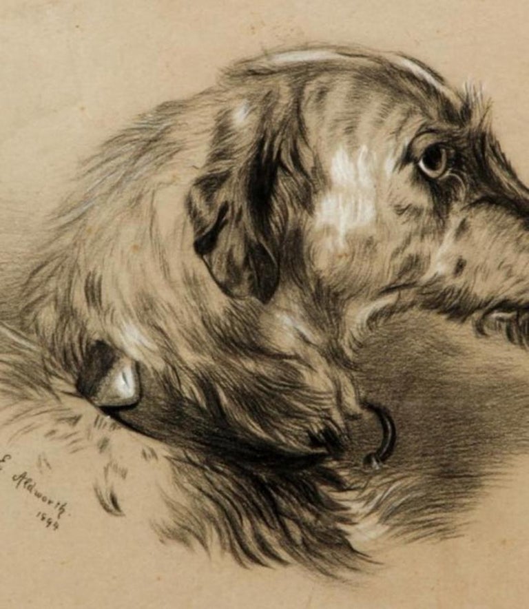 Late 19th Century Framed Charcoal & Gouache Drawing of Russian Wolfhound In Good Condition For Sale In Middleburg, VA