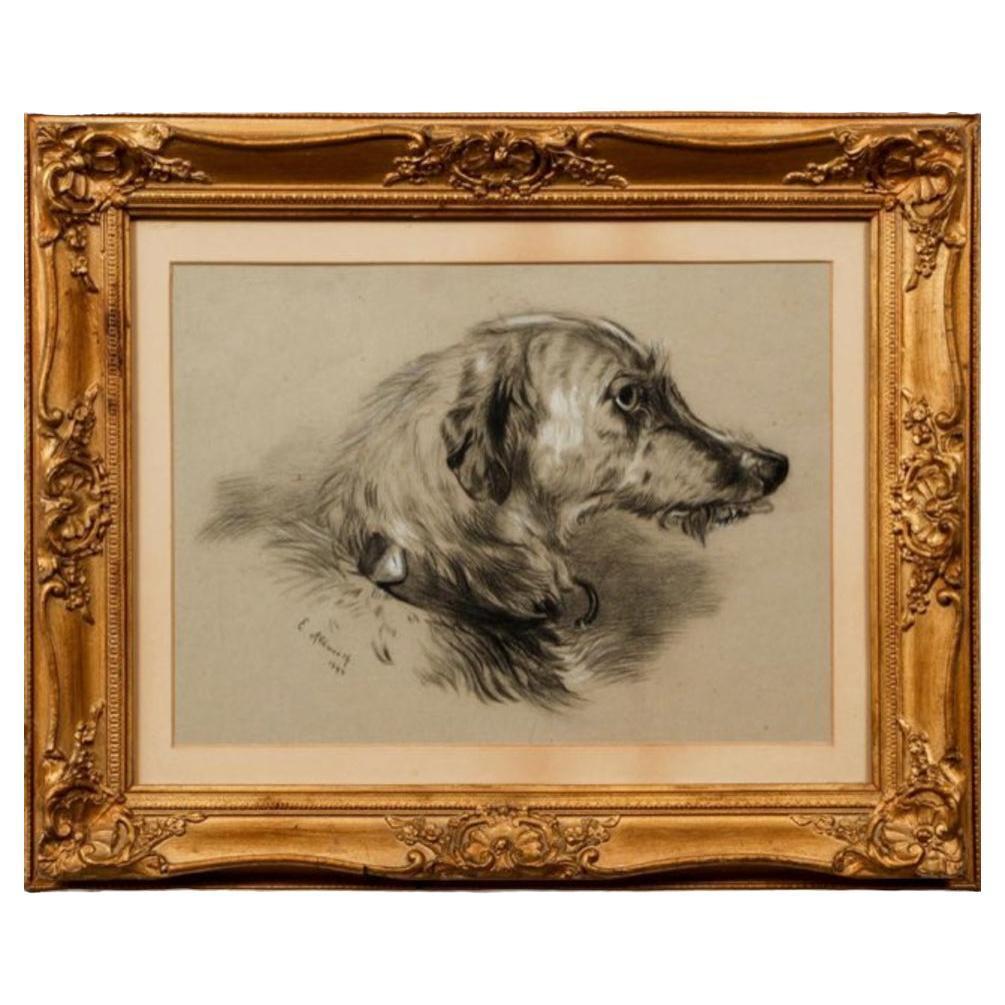 Late 19th Century Framed Charcoal & Gouache Drawing of Russian Wolfhound